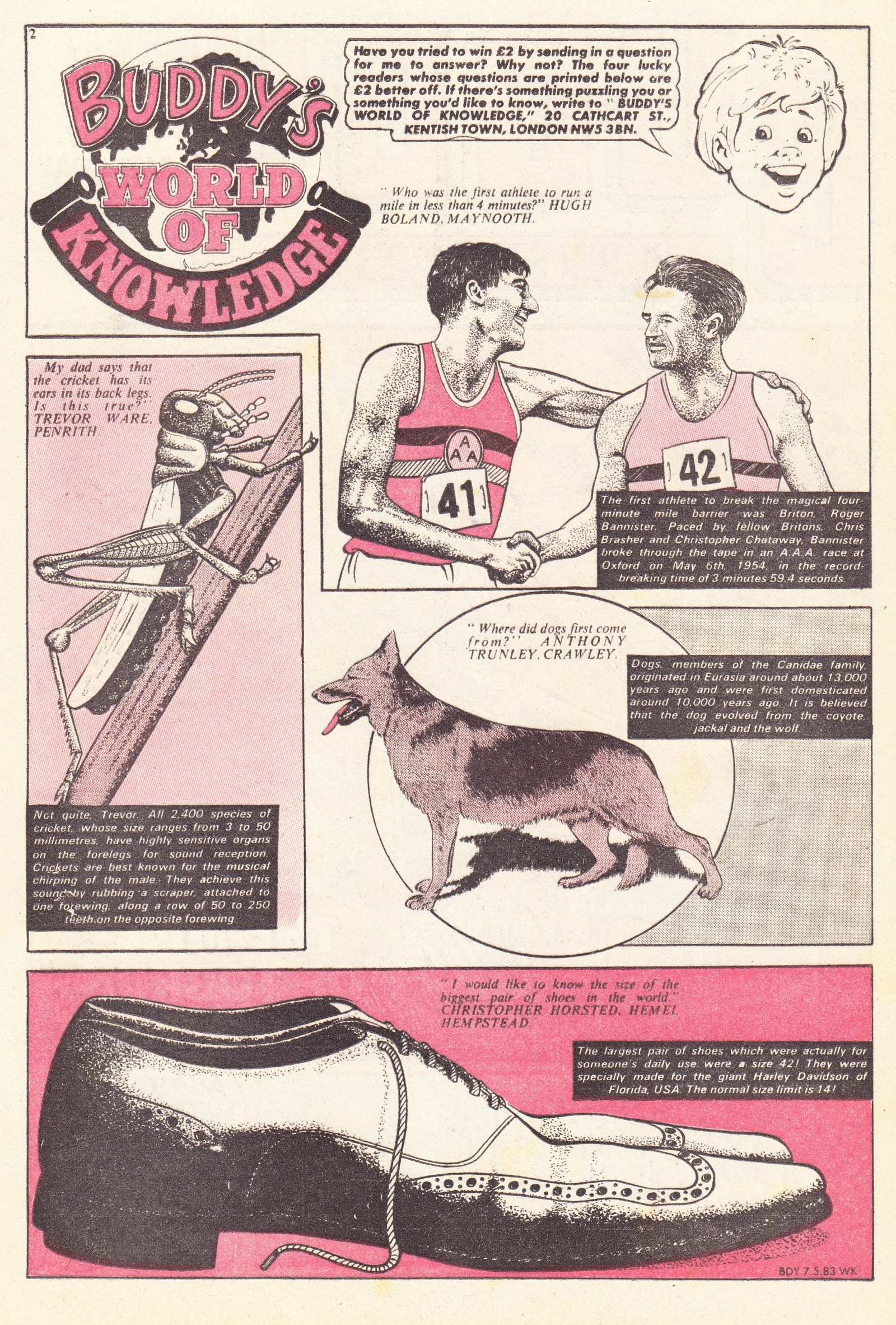 Read online Buddy comic -  Issue #117 - 2