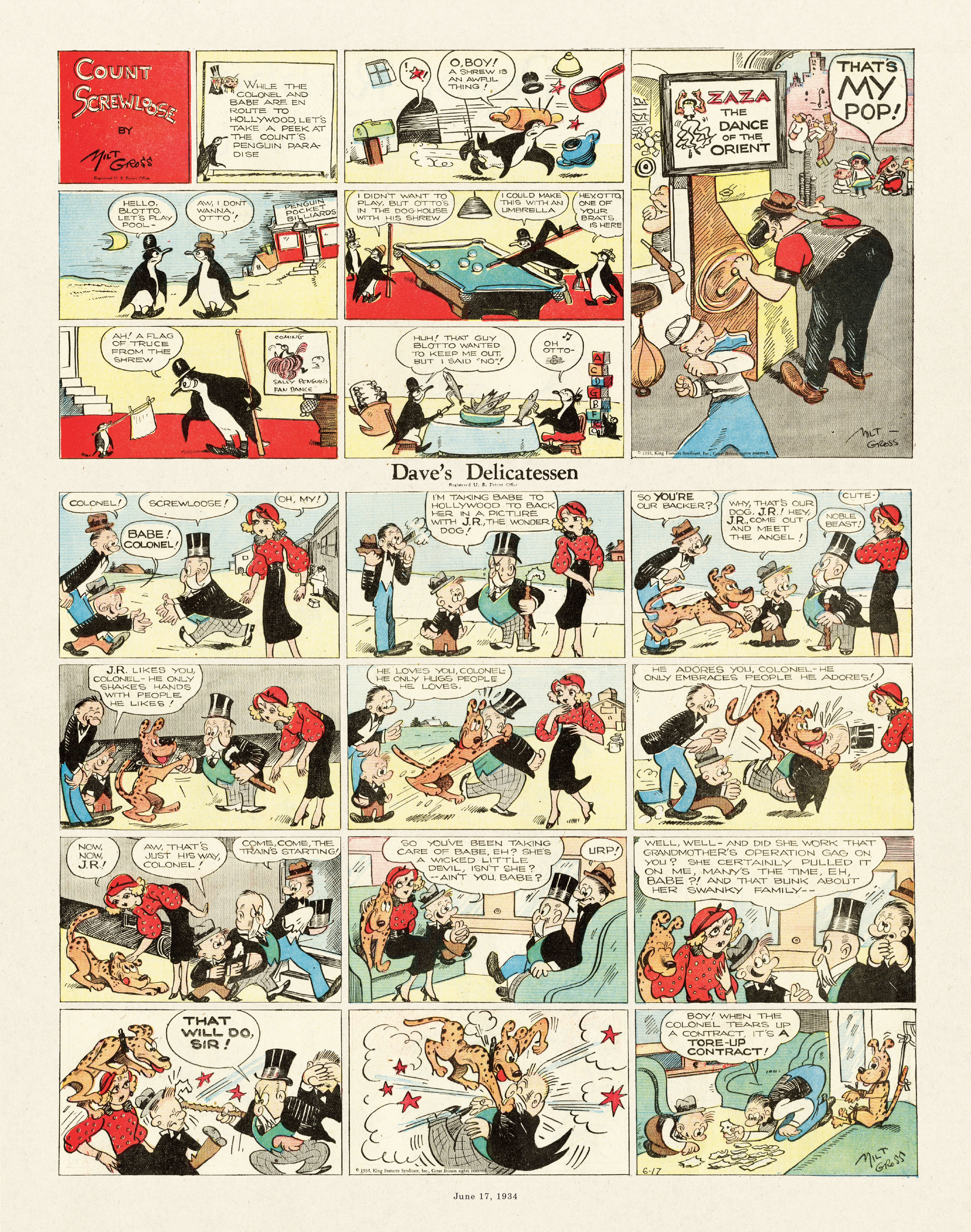 Read online Gross Exaggerations: The Meshuga Comic Strips of Milt Gross comic -  Issue # TPB - 131