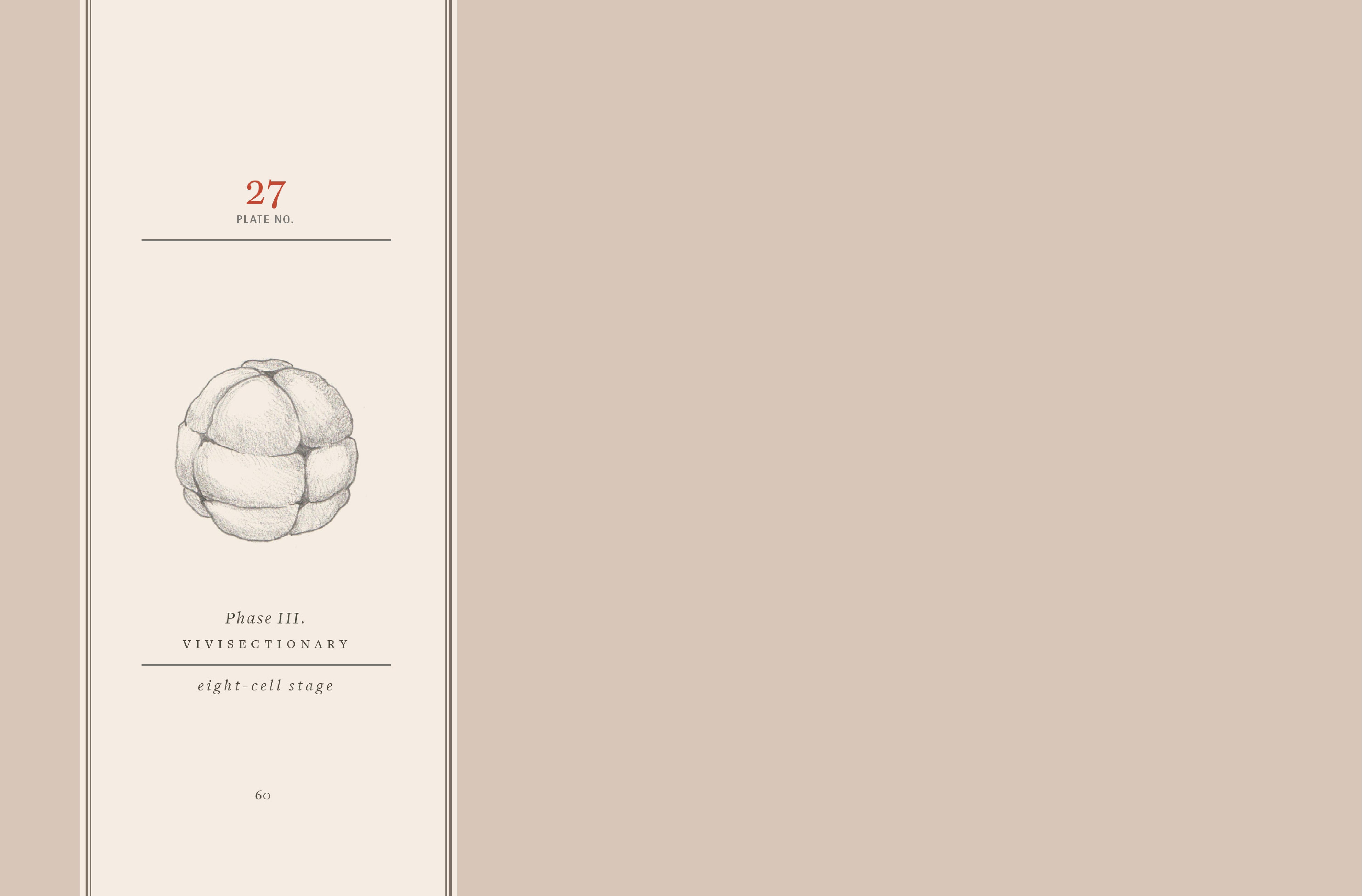 Read online Vivisectionary comic -  Issue # TPB - 61