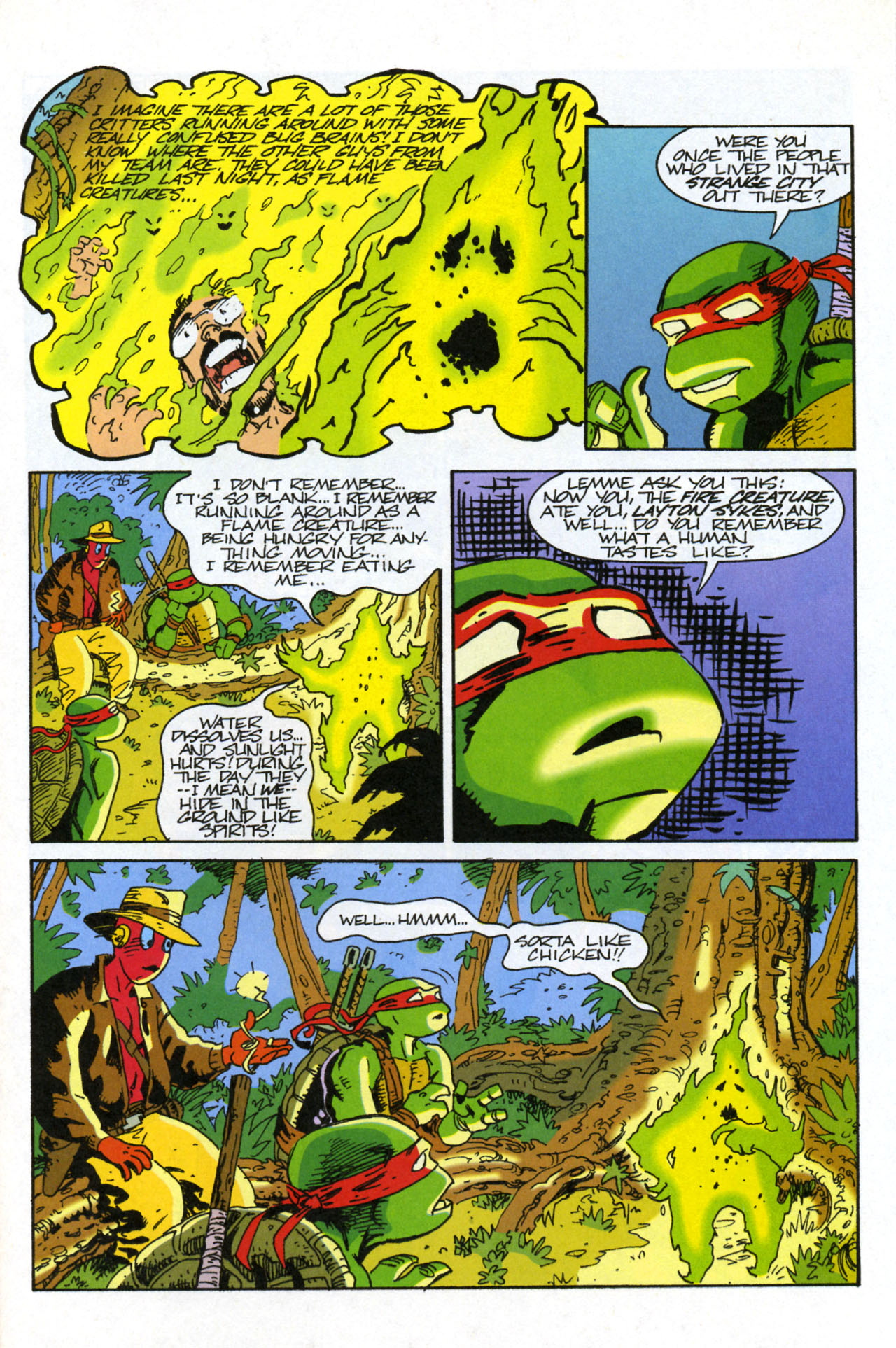 Teenage Mutant Ninja Turtles/Flaming Carrot Crossover Issue #3 #3 - English 23