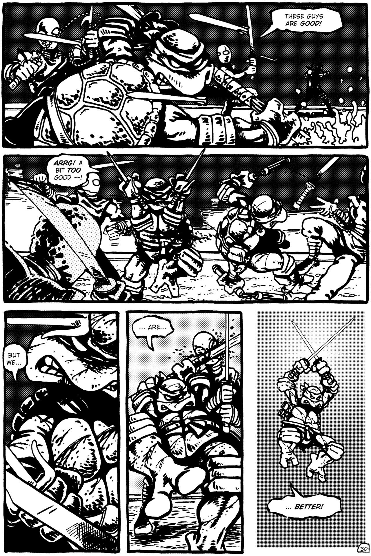 Teenage Mutant Ninja Turtles (1984) Issue #1 #1 - English 30
