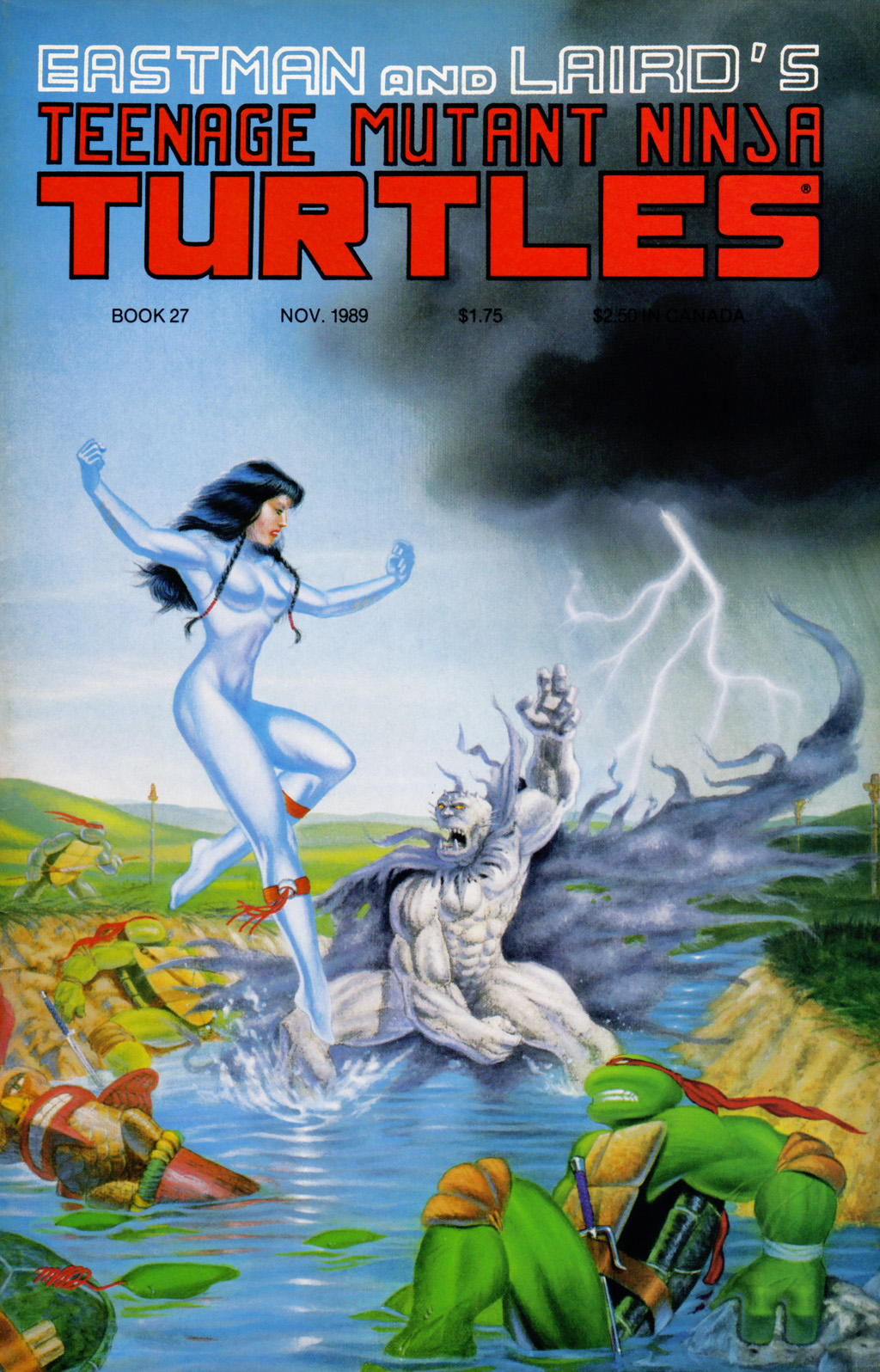Read online Teenage Mutant Ninja Turtles (1984) comic -  Issue #27 - 1