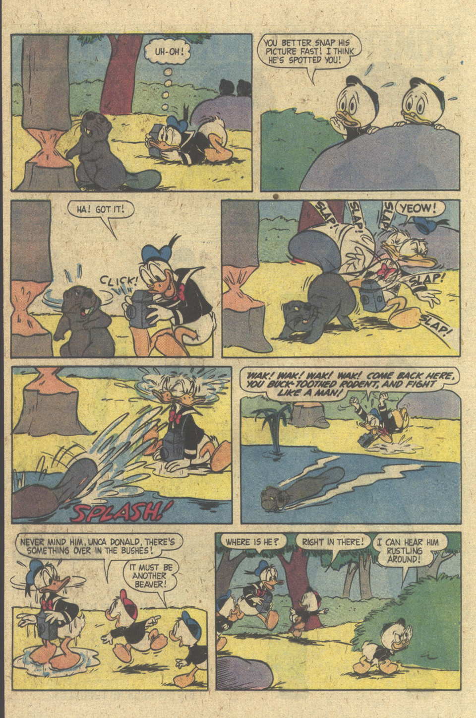 Read online Walt Disney's Donald Duck (1952) comic -  Issue #213 - 24