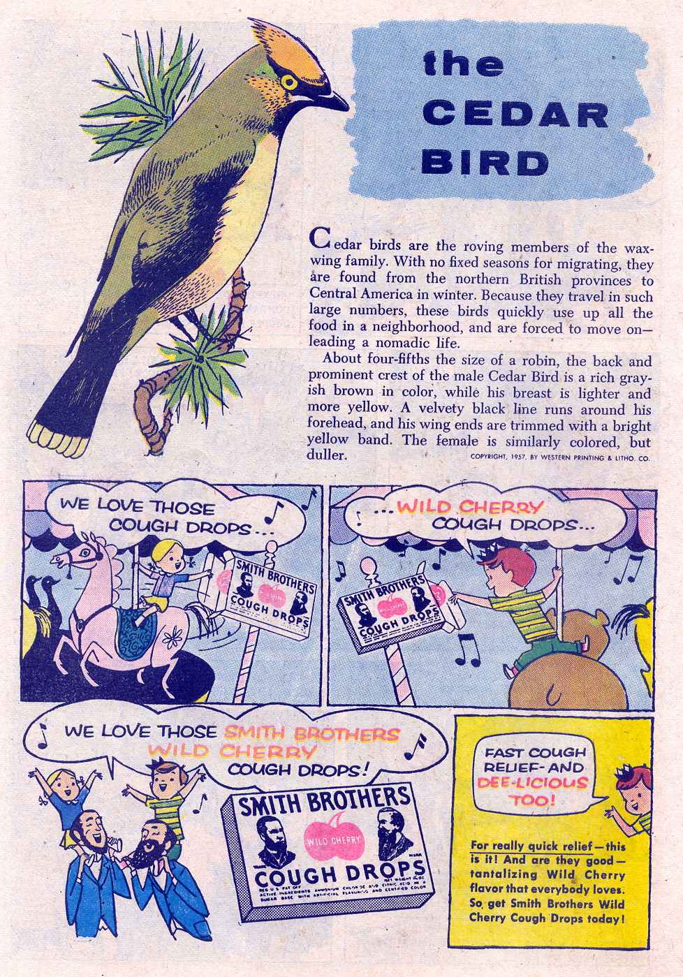 Read online The Lone Ranger (1948) comic -  Issue #105 - 34