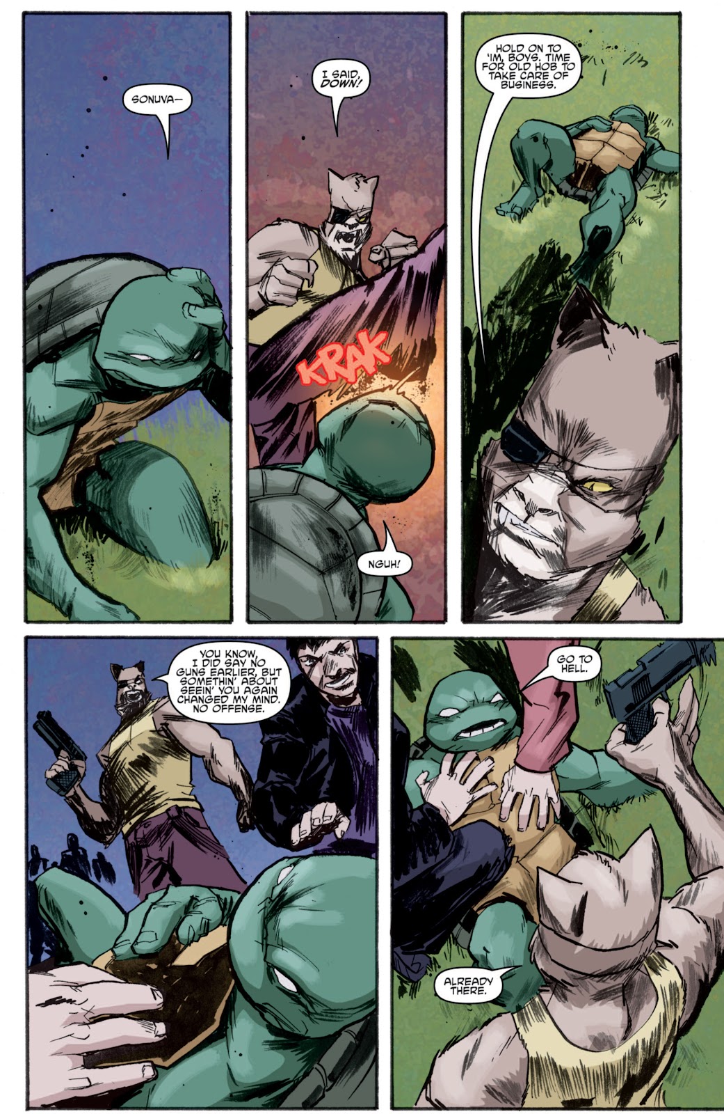 Teenage Mutant Ninja Turtles (2011) issue 4 - Page 17