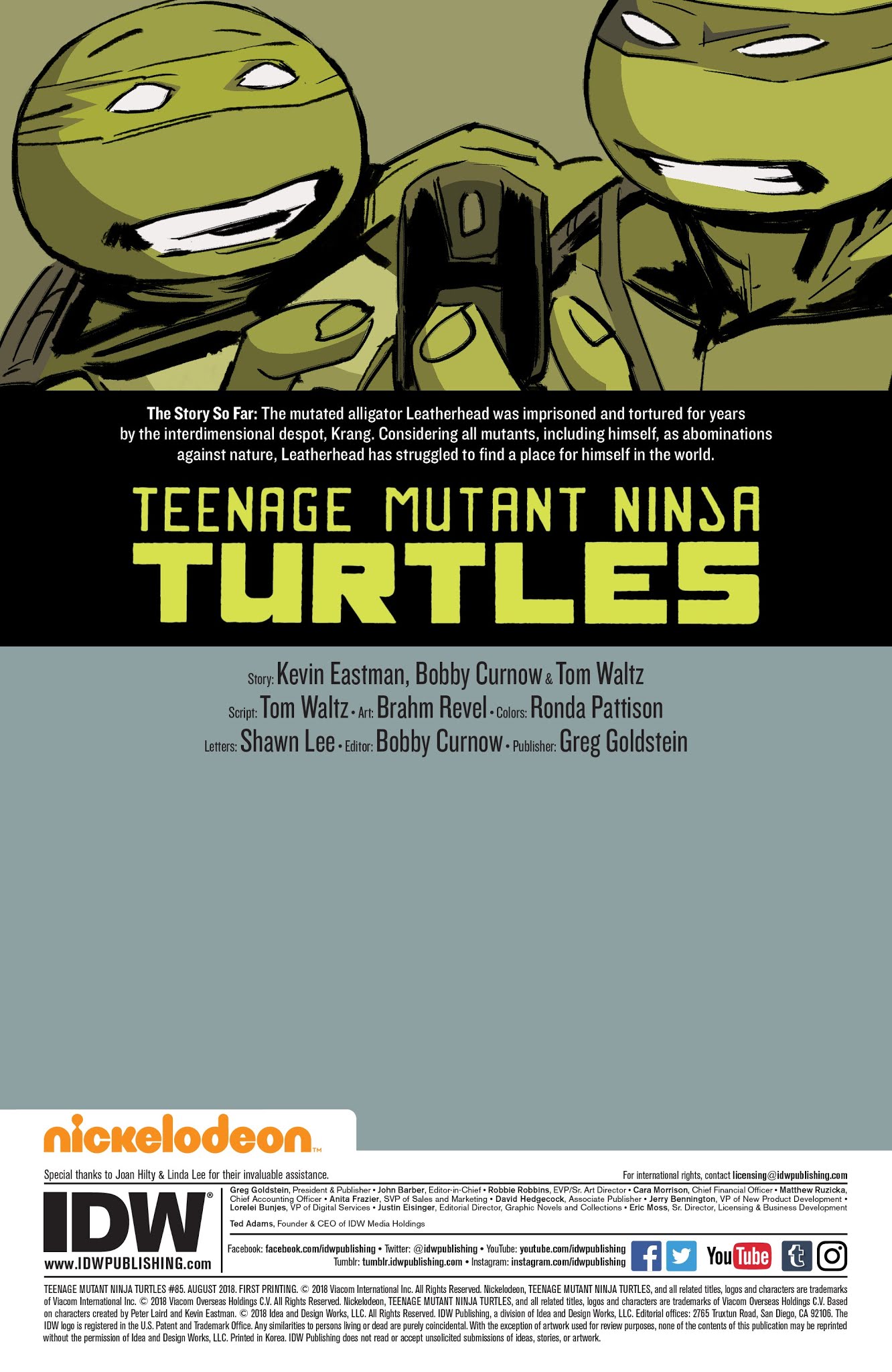 Read online Teenage Mutant Ninja Turtles (2011) comic -  Issue #85 - 2