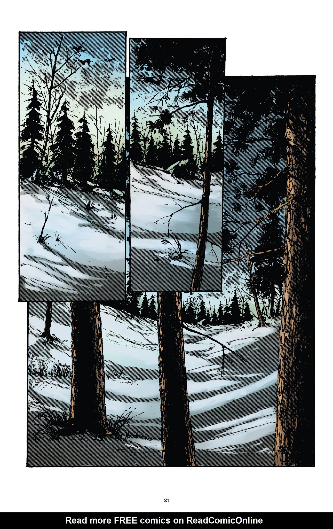 Read online Teenage Mutant Ninja Turtles Legends: Soul's Winter By Michael Zulli comic -  Issue # TPB - 21