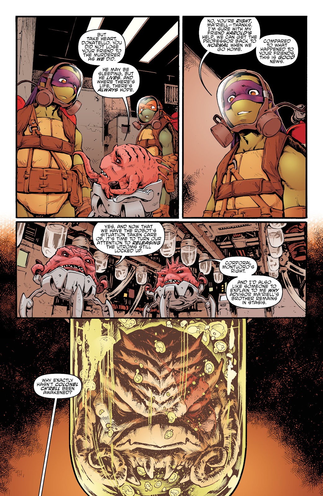 Teenage Mutant Ninja Turtles (2011) issue 57 - Page 14
