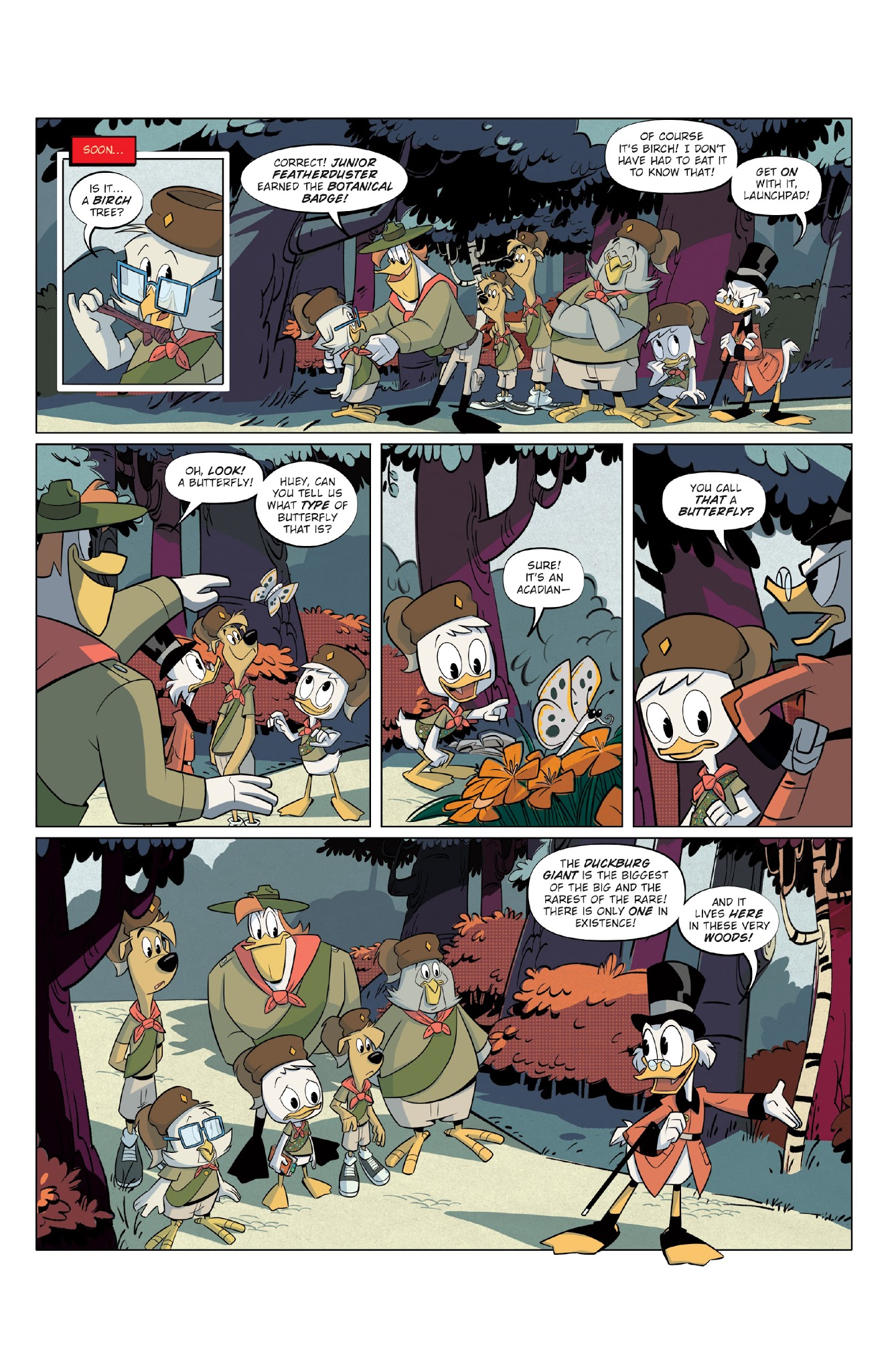 Read online Ducktales (2017) comic -  Issue #6 - 16