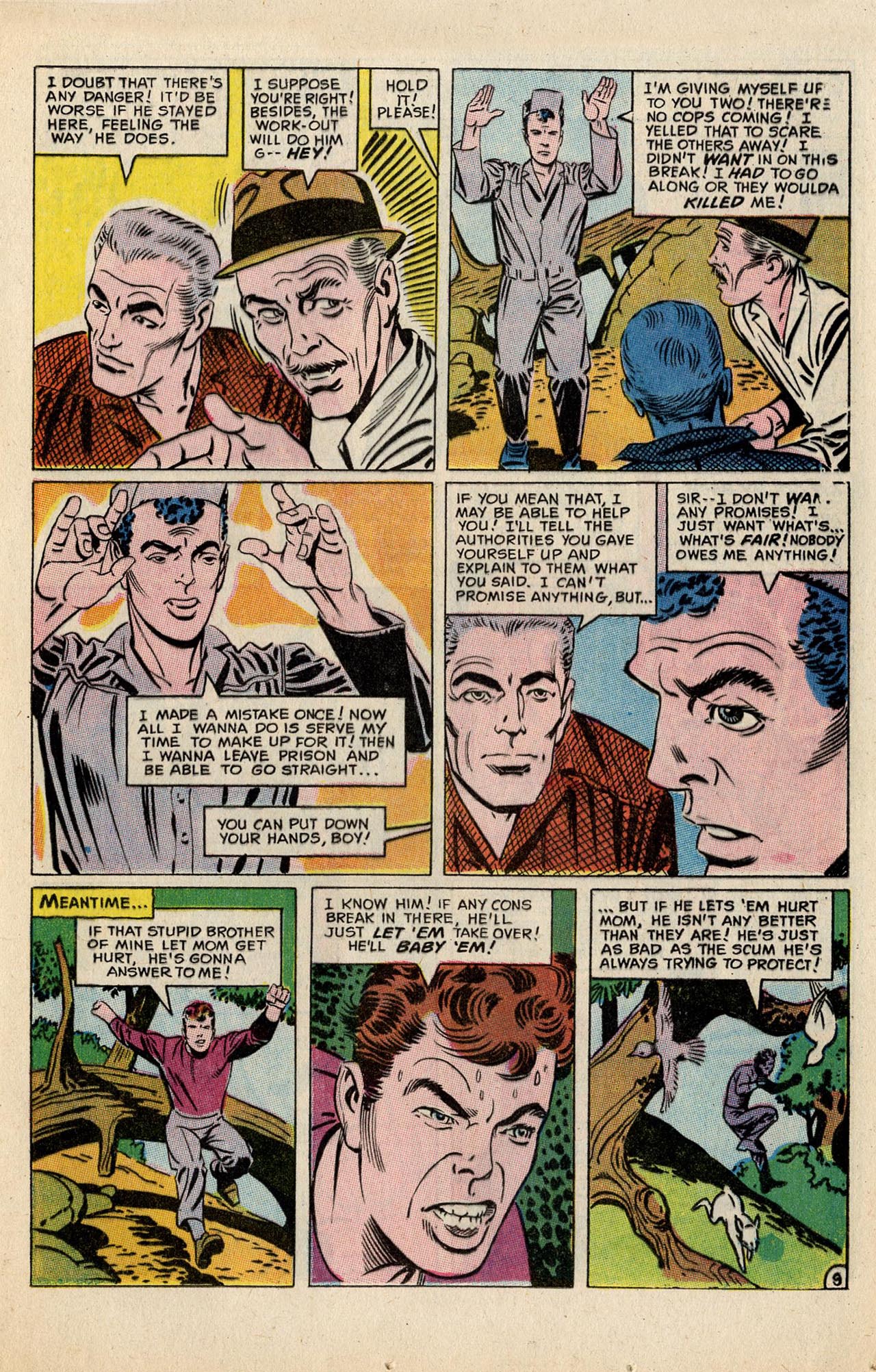 Read online The Hawk and the Dove comic -  Issue #2 - 13