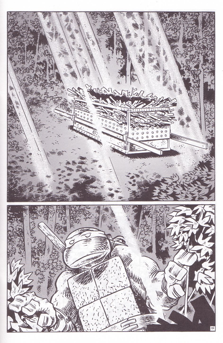 Read online TMNT: Teenage Mutant Ninja Turtles comic -  Issue #11 - 17