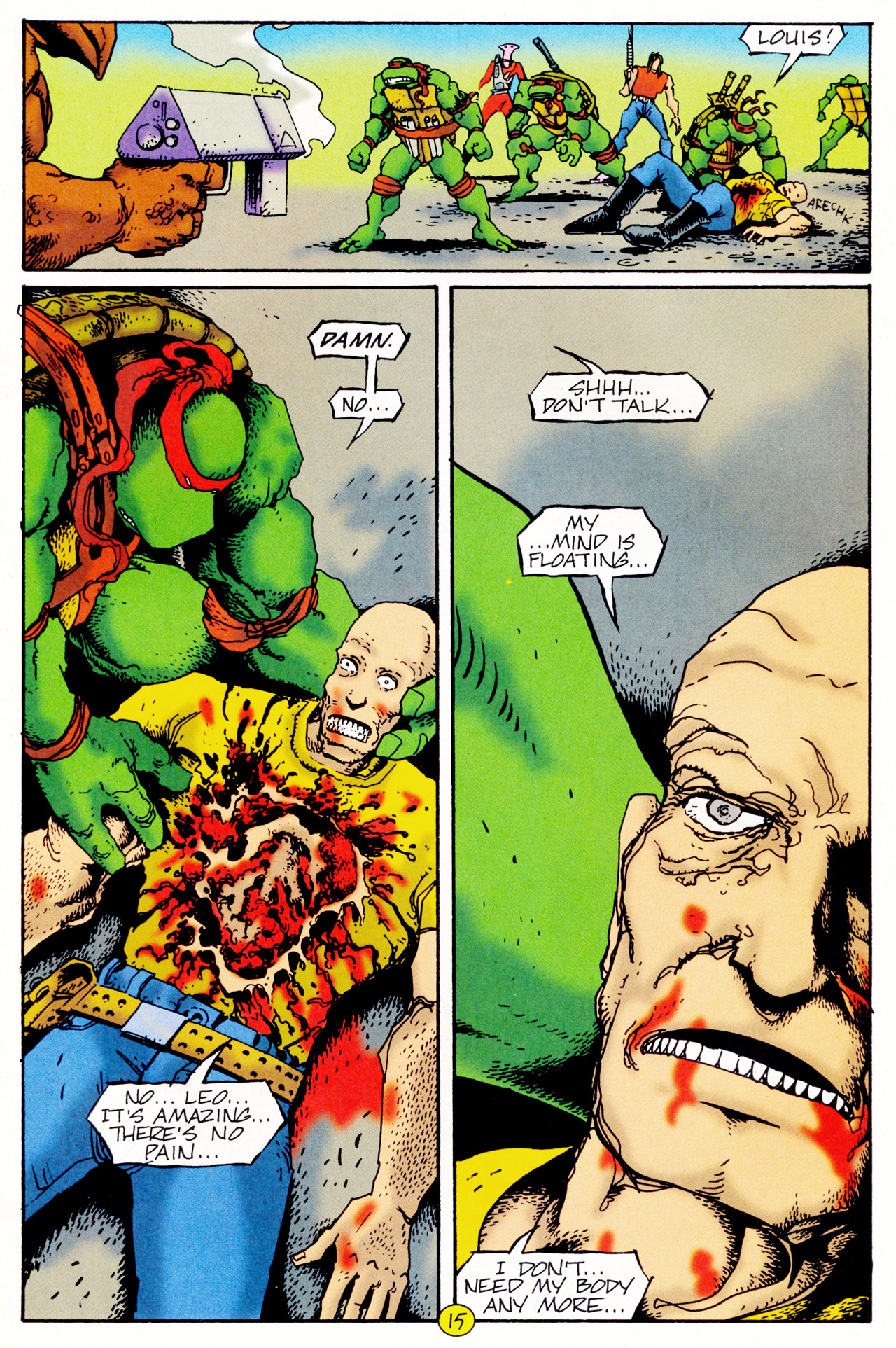 Teenage Mutant Ninja Turtles (1993) Issue #13 #13 - English 17