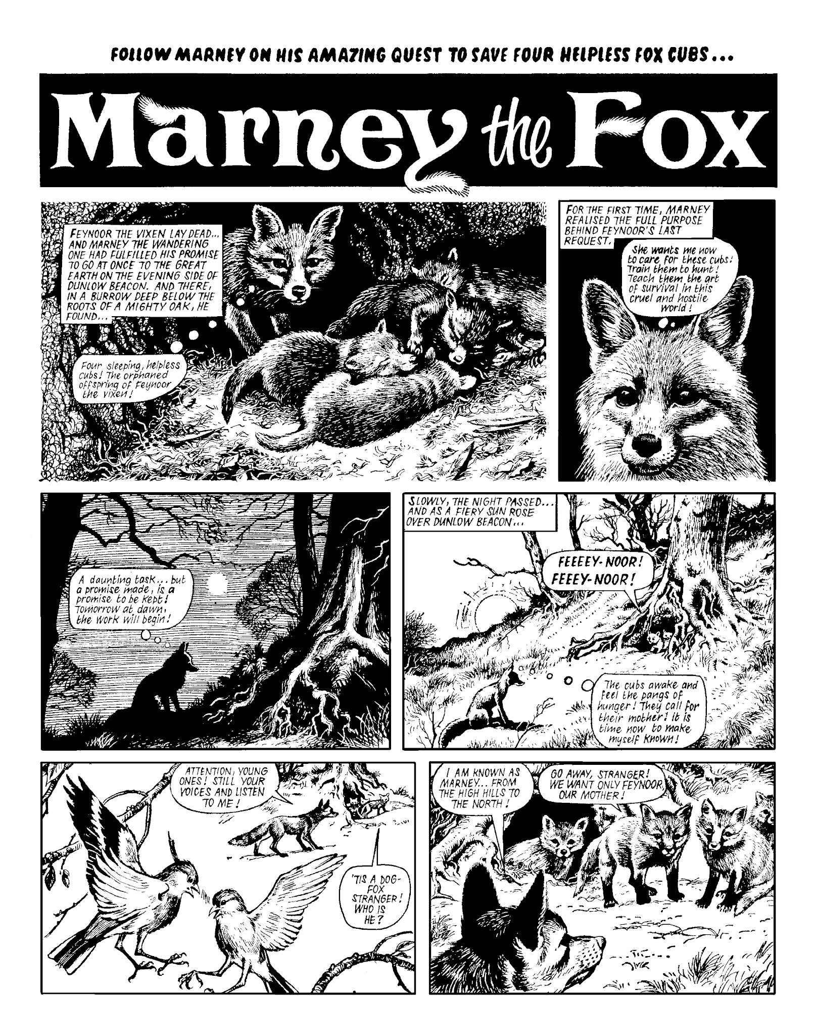 Read online Marney the Fox comic -  Issue # TPB (Part 2) - 76
