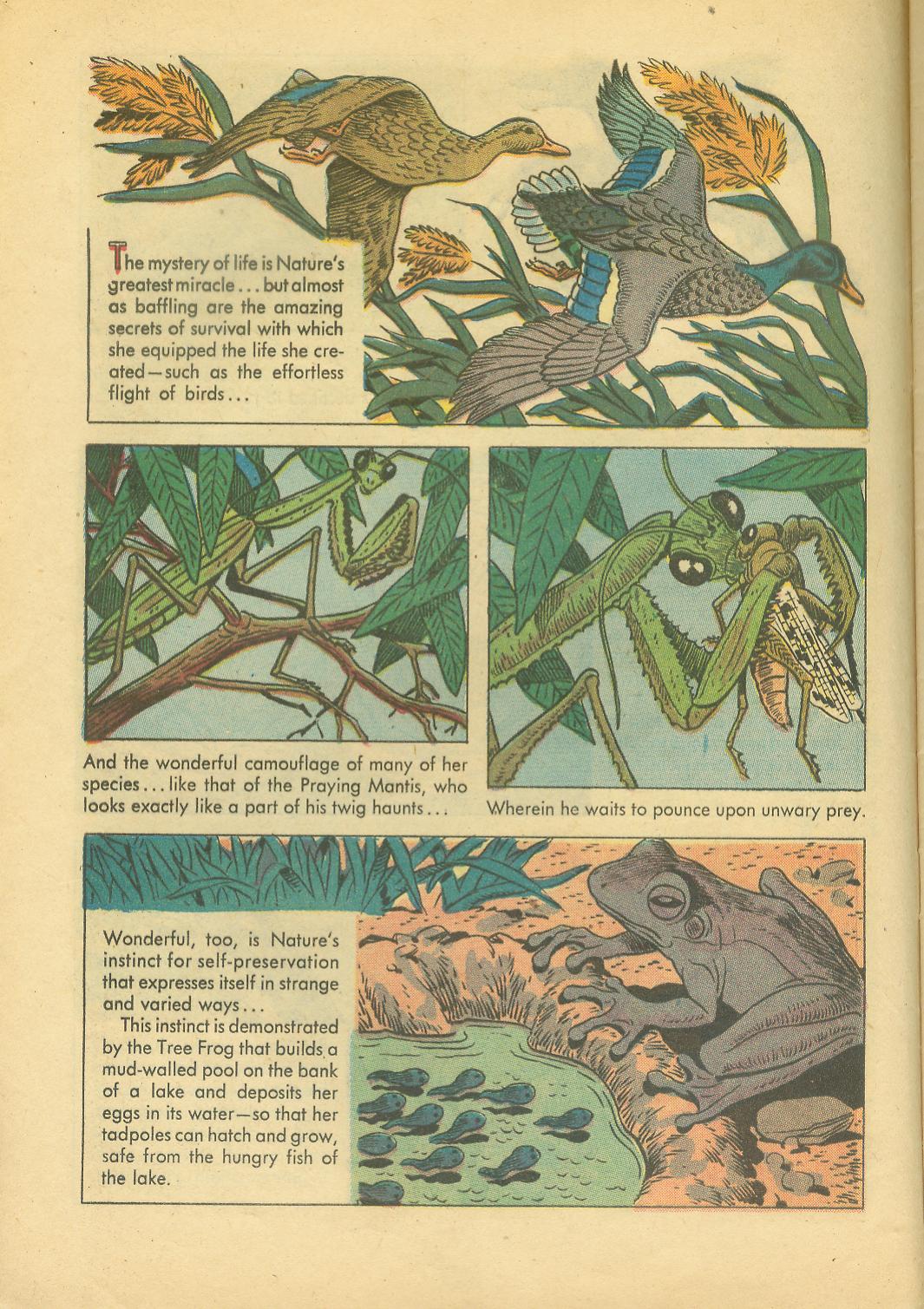 Read online Four Color Comics comic -  Issue #749 - 8