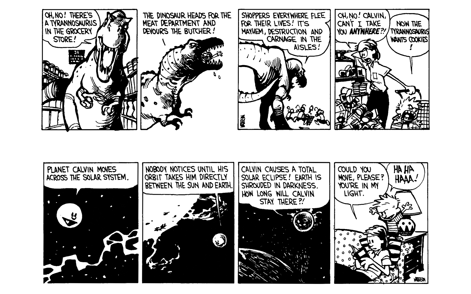 Read online Calvin and Hobbes comic -  Issue #4 - 114