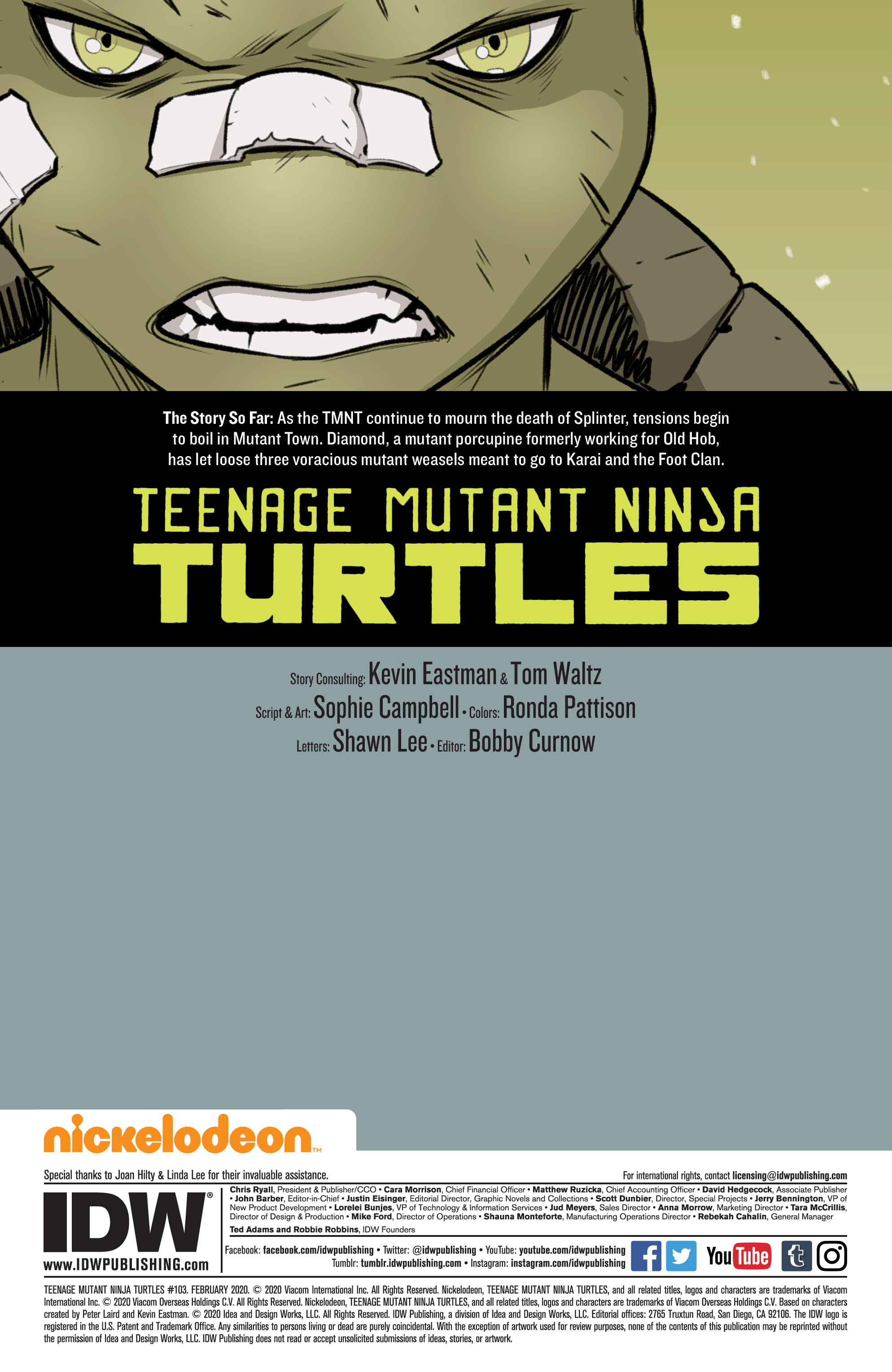 Read online Teenage Mutant Ninja Turtles (2011) comic -  Issue #103 - 2