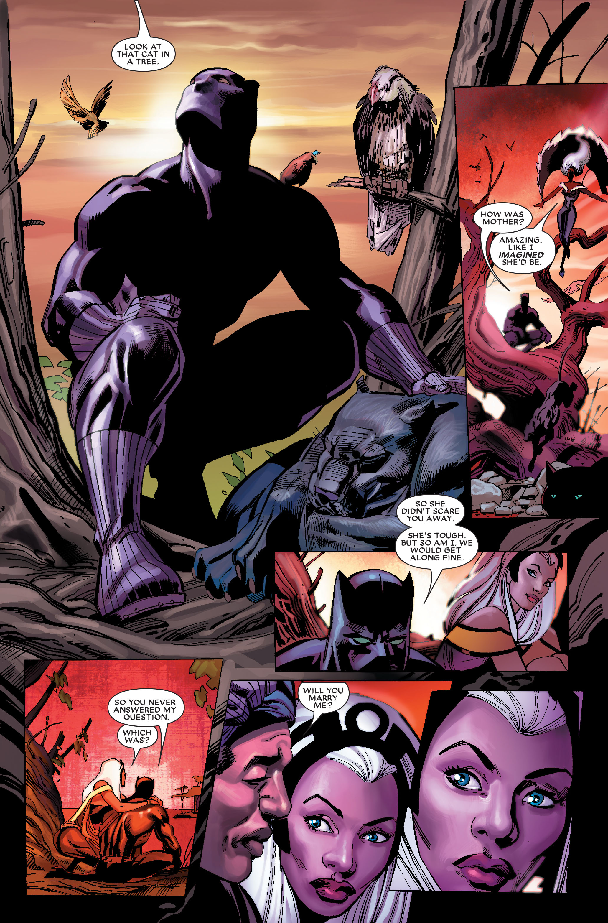 Read online Black Panther: The Bride comic -  Issue # TPB - 48