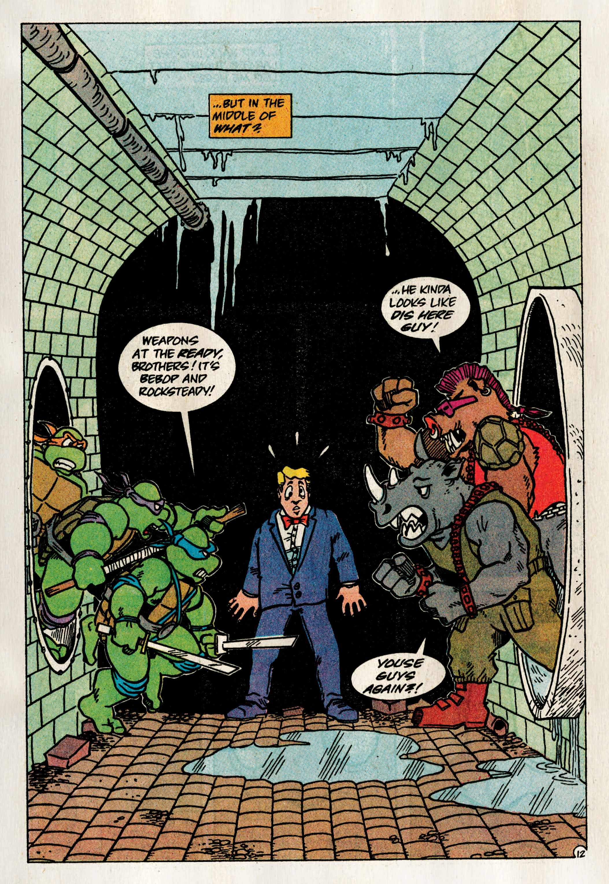 Read online Teenage Mutant Ninja Turtles Adventures (2012) comic -  Issue # TPB 3 - 15