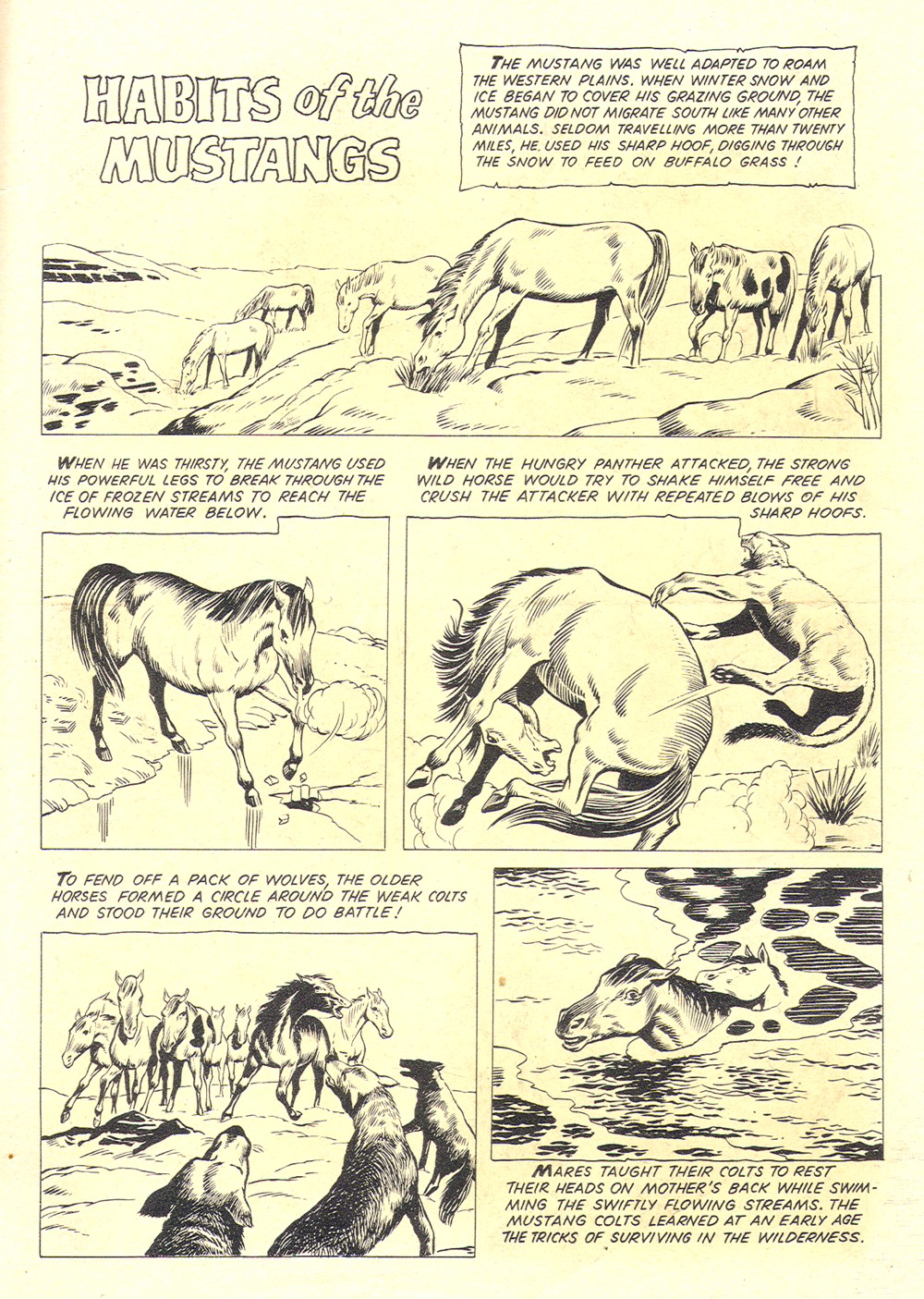 Read online Four Color Comics comic -  Issue #1133 - 35