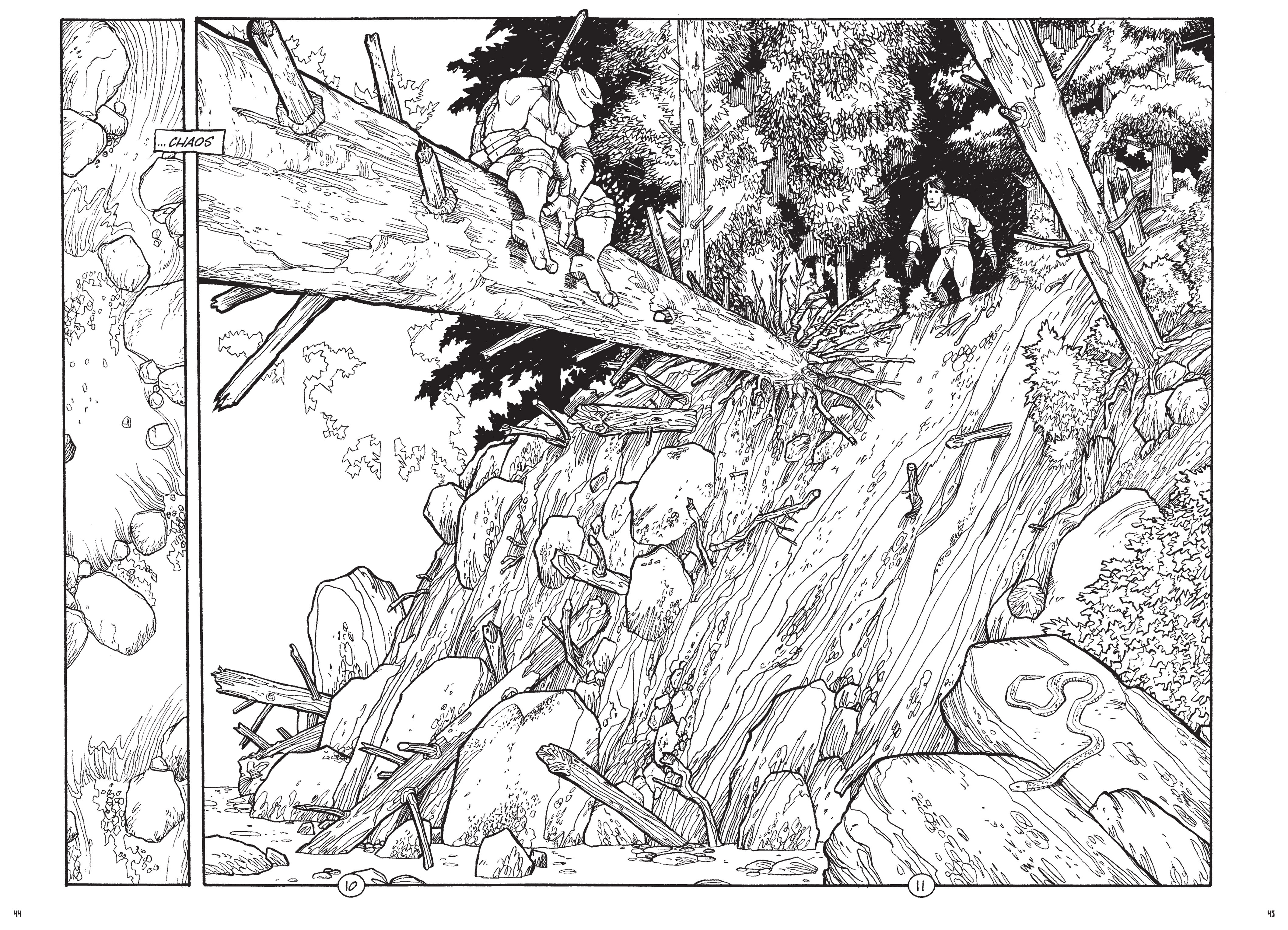 Read online Teenage Mutant Ninja Turtles: The Ultimate Collection comic -  Issue # TPB 4 (Part 1) - 44