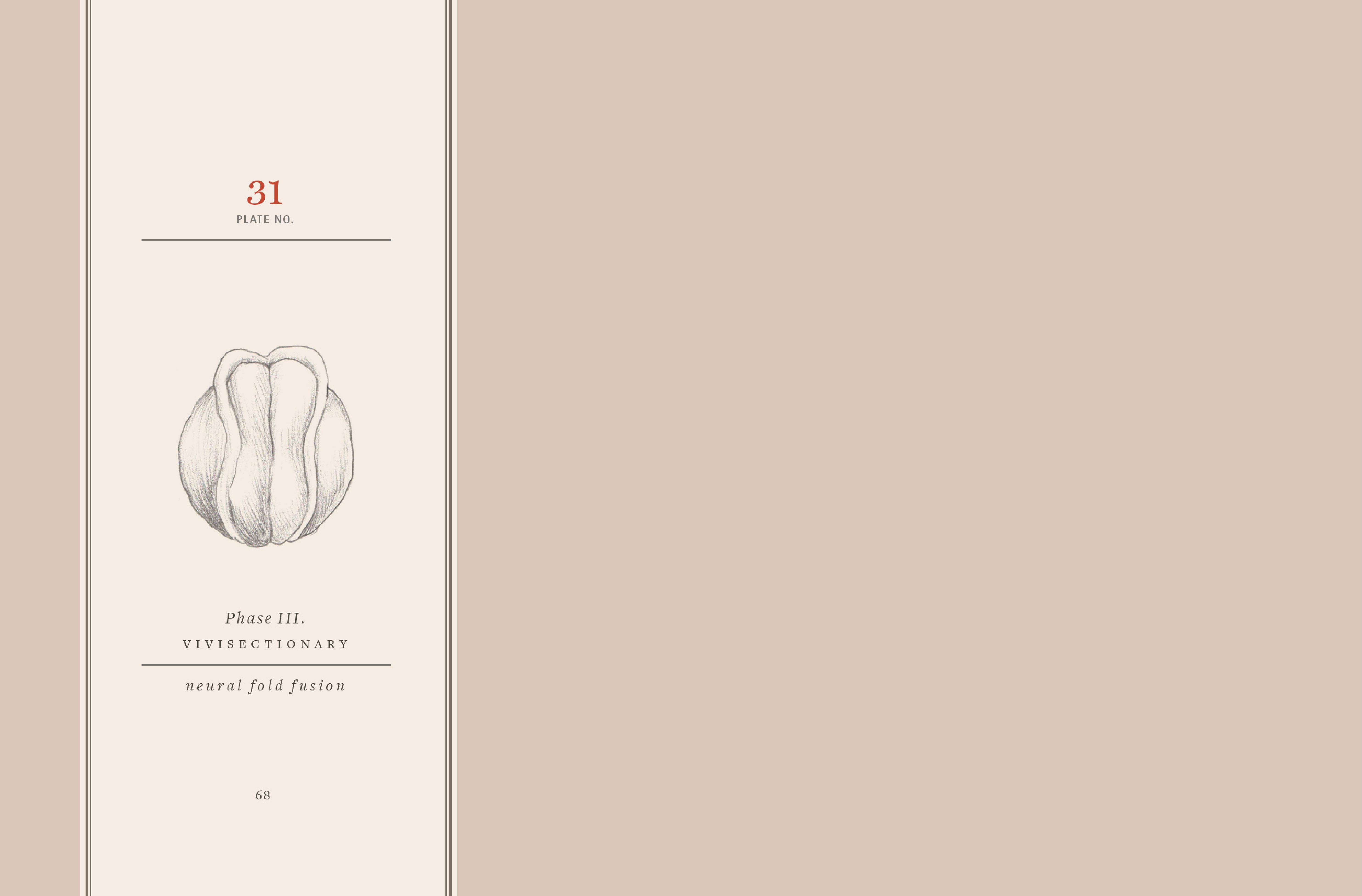 Read online Vivisectionary comic -  Issue # TPB - 69