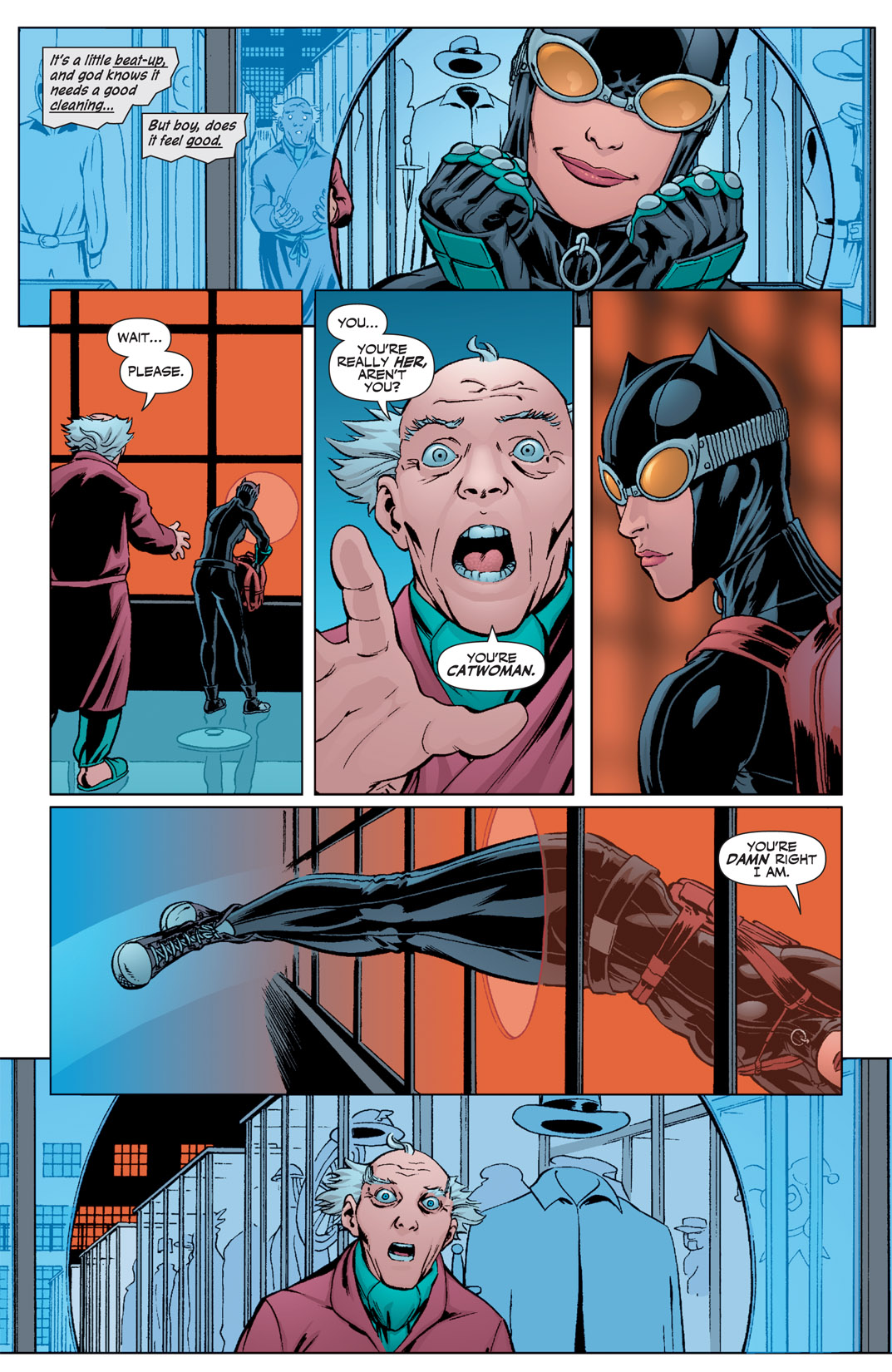 Read online Catwoman (2002) comic -  Issue #73 - 18