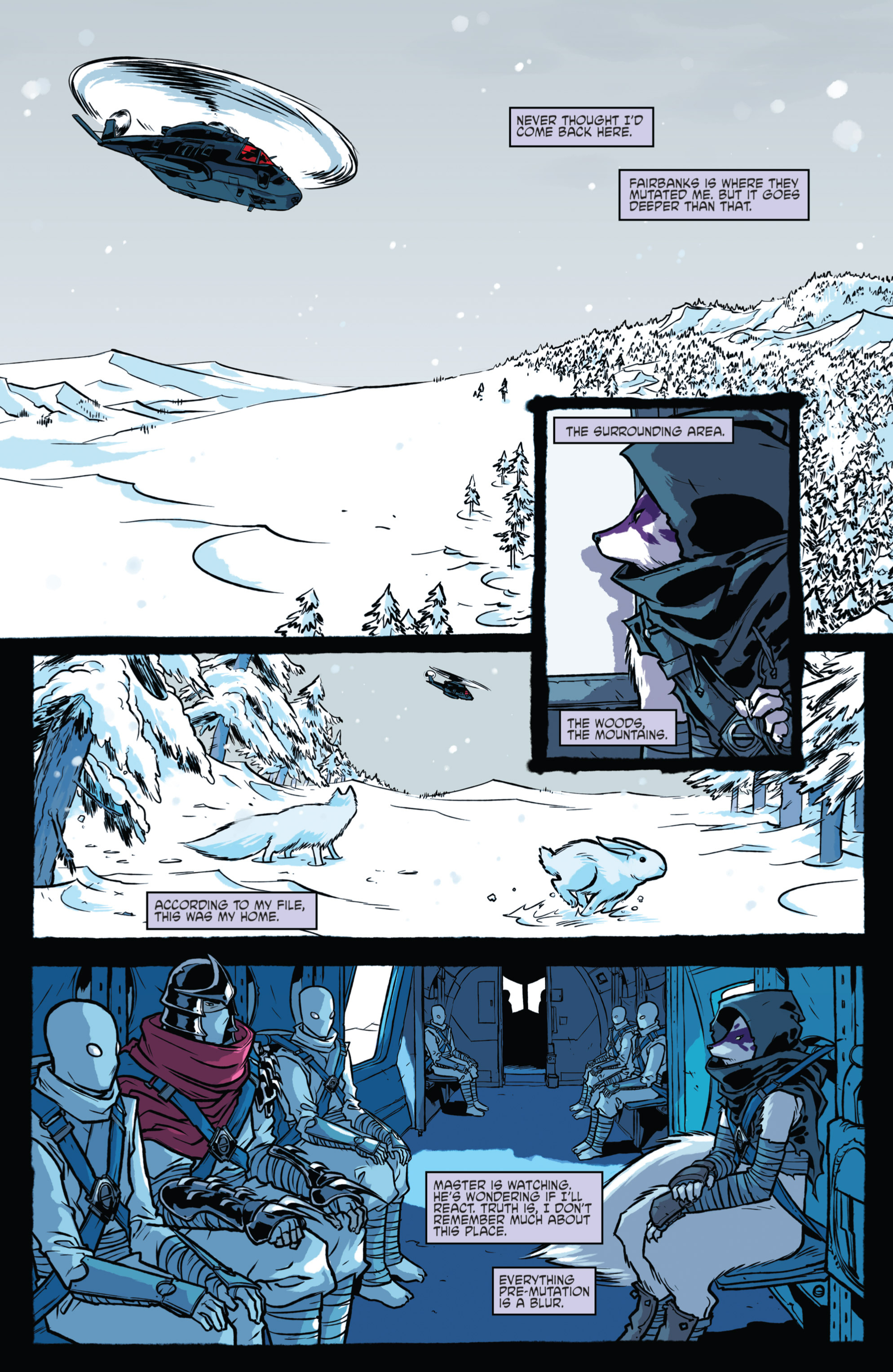 Read online Teenage Mutant Ninja Turtles Villains Microseries comic -  Issue #4 - 12