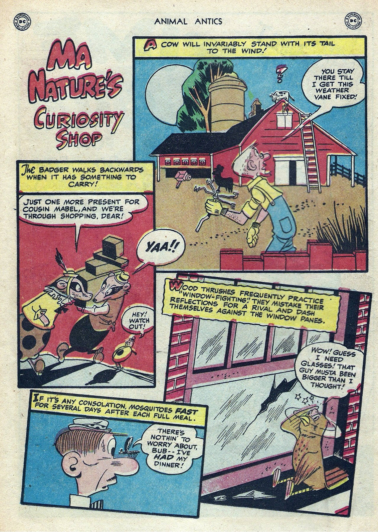 Read online Animal Antics comic -  Issue #16 - 16