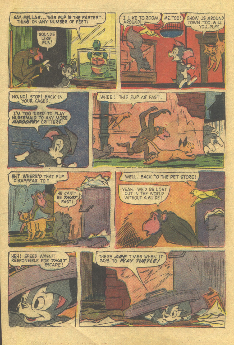 Read online Scamp (1967) comic -  Issue #5 - 16