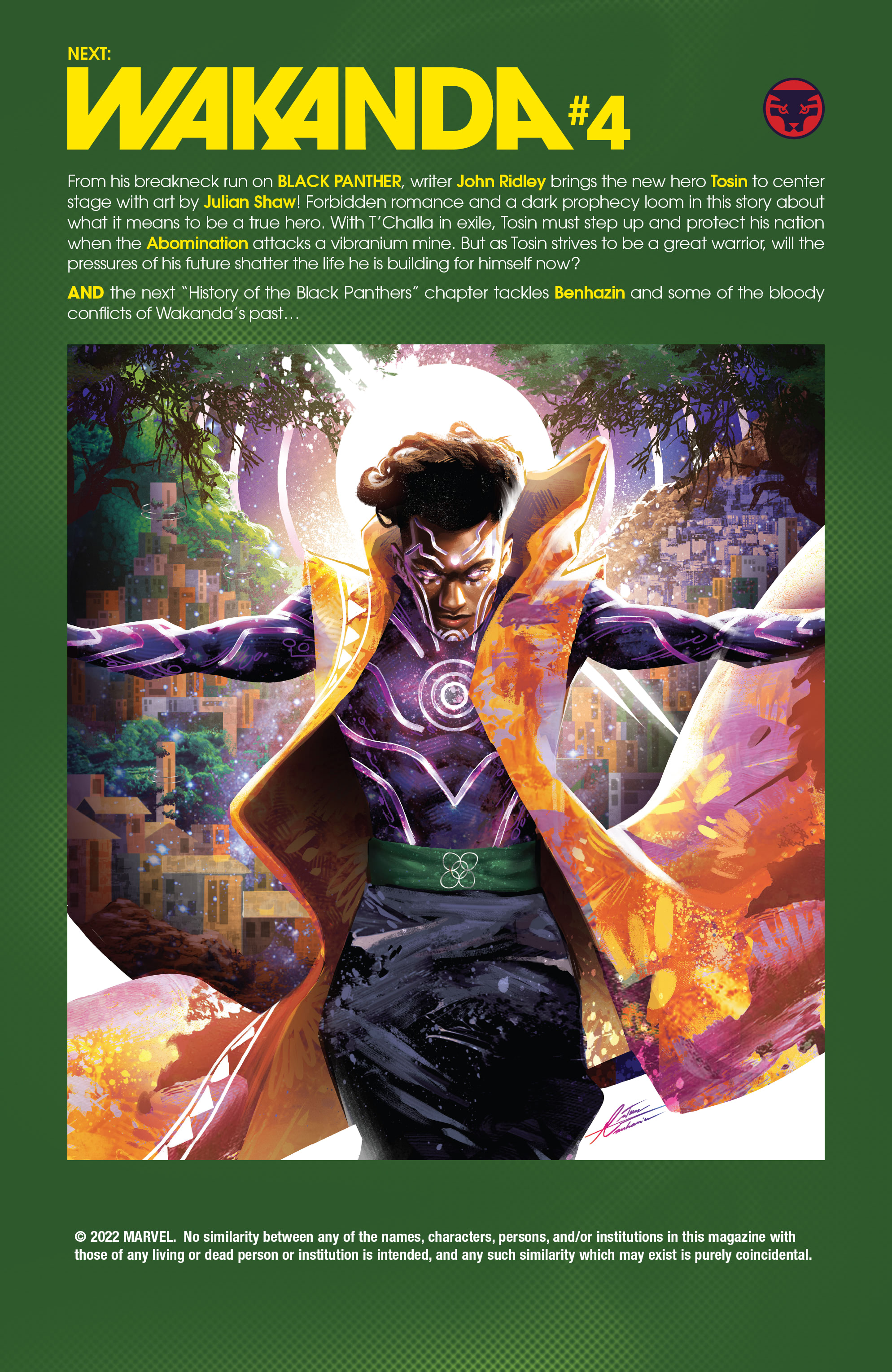 Read online Wakanda comic -  Issue #3 - 25