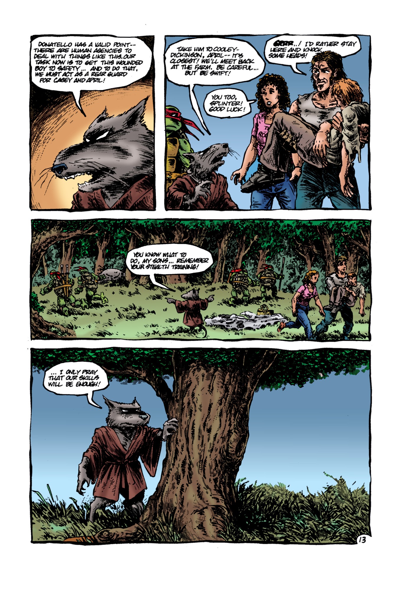 Read online Teenage Mutant Ninja Turtles Color Classics (2013) comic -  Issue #1 - 14