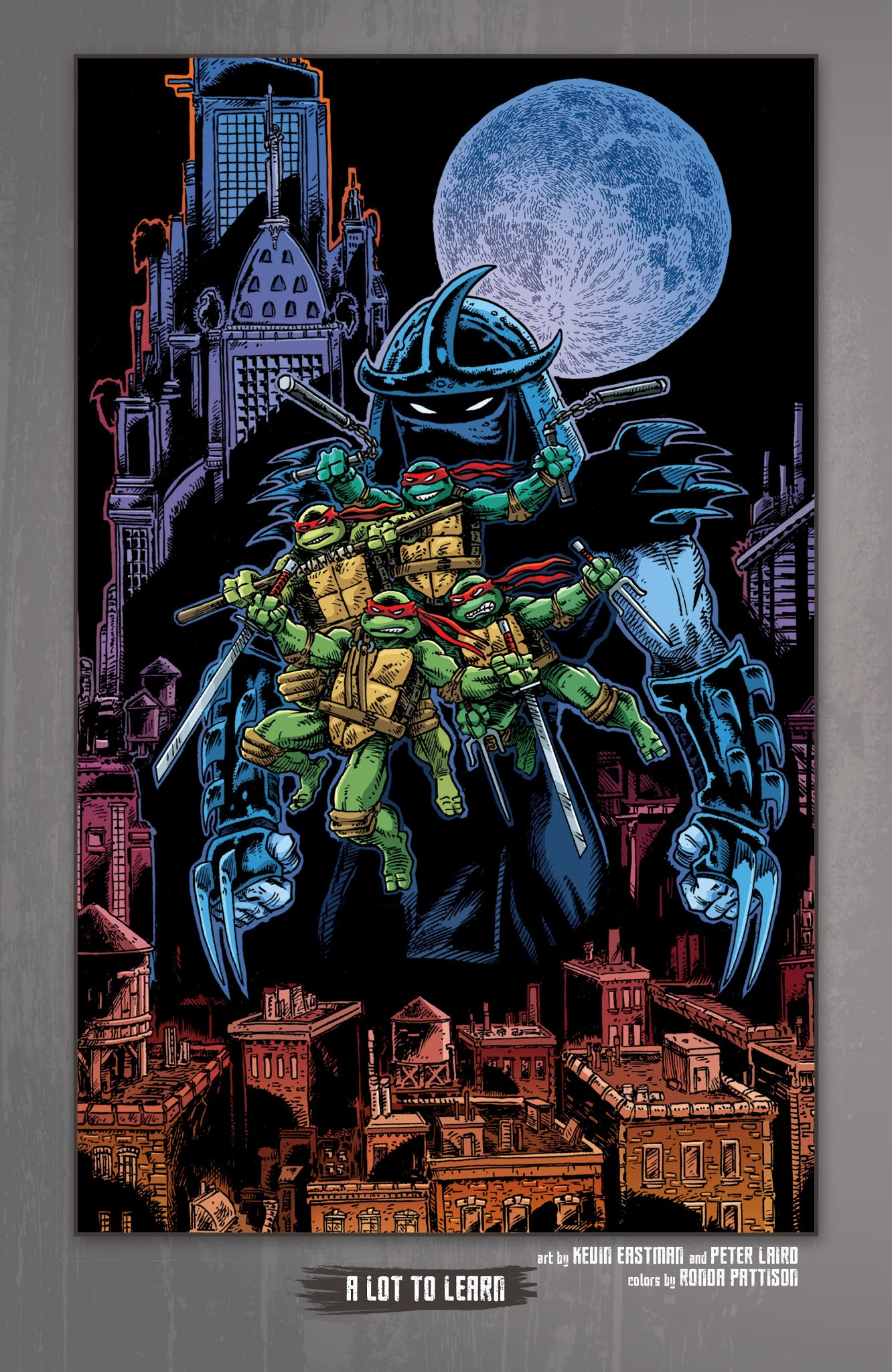Read online Teenage Mutant Ninja Turtles: The IDW Collection comic -  Issue # TPB 1 (Part 2) - 3