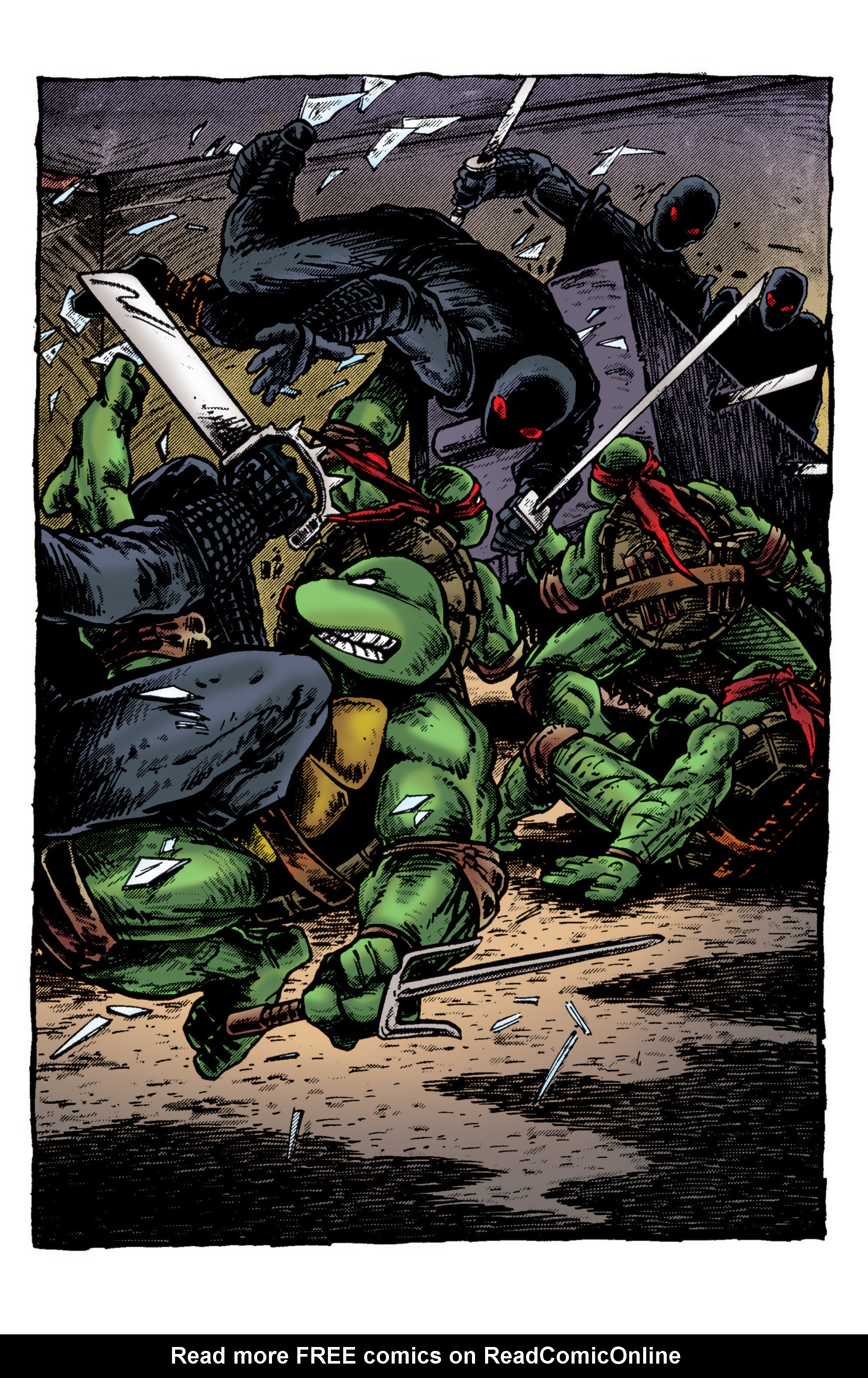 Teenage Mutant Ninja Turtles Color Classics 010 (2013) Read All