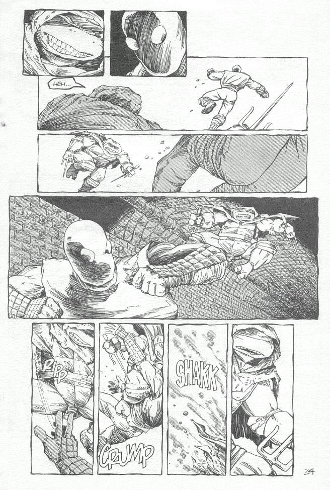 Teenage Mutant Ninja Turtles (1984) Issue #19 #19 - English 25