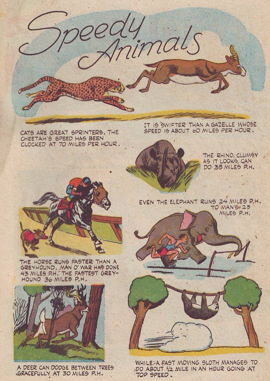 Read online Animal Comics comic -  Issue #26 - 43