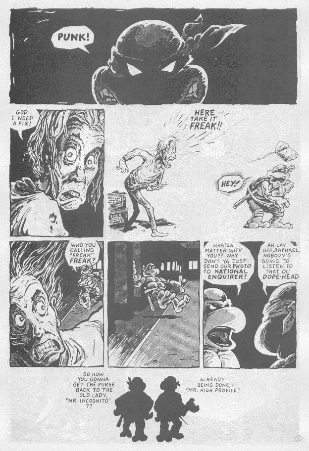Teenage Mutant Ninja Turtles (1984) Issue #16 #16 - English 10
