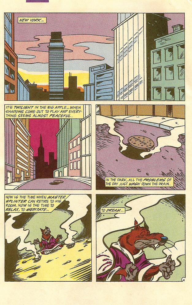 Read online Teenage Mutant Ninja Turtles Adventures (1989) comic -  Issue #26 - 5