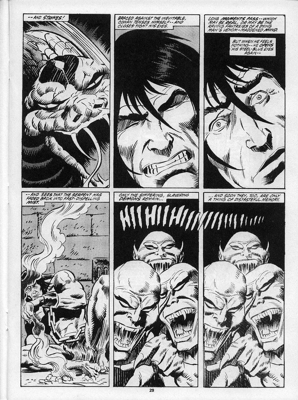 The Savage Sword Of Conan issue 201 - Page 31
