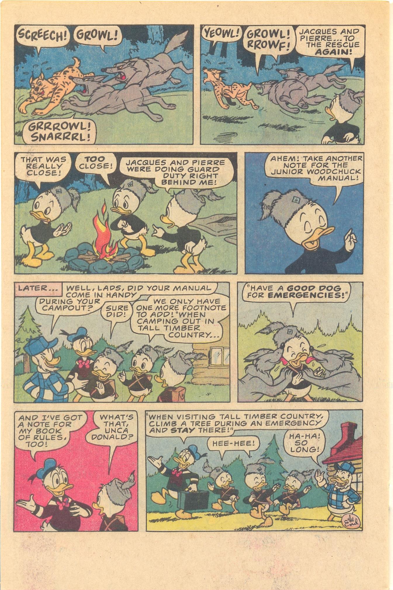 Read online Huey, Dewey, and Louie Junior Woodchucks comic -  Issue #81 - 34