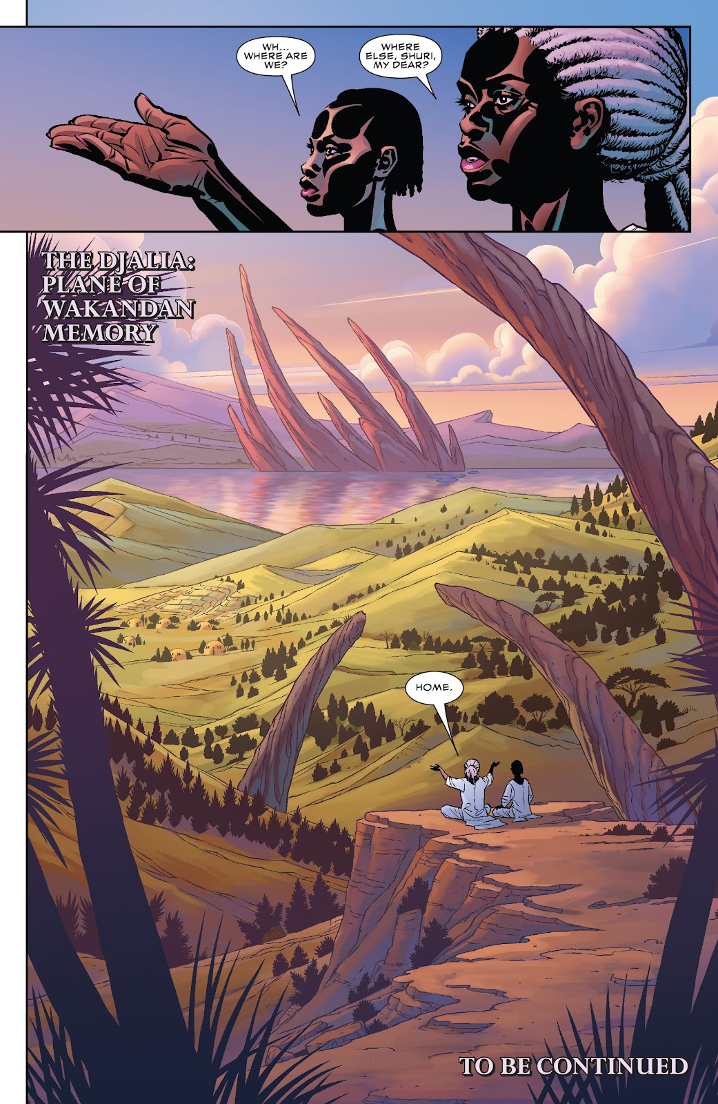 Black Panther (2016) issue 2 - Page 25