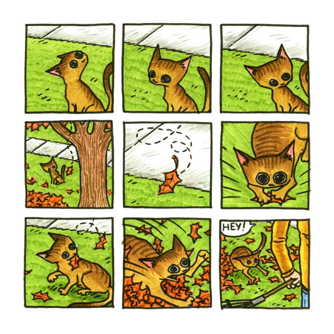 Read online Cats are Weird and More Observations comic -  Issue # TPB - 83