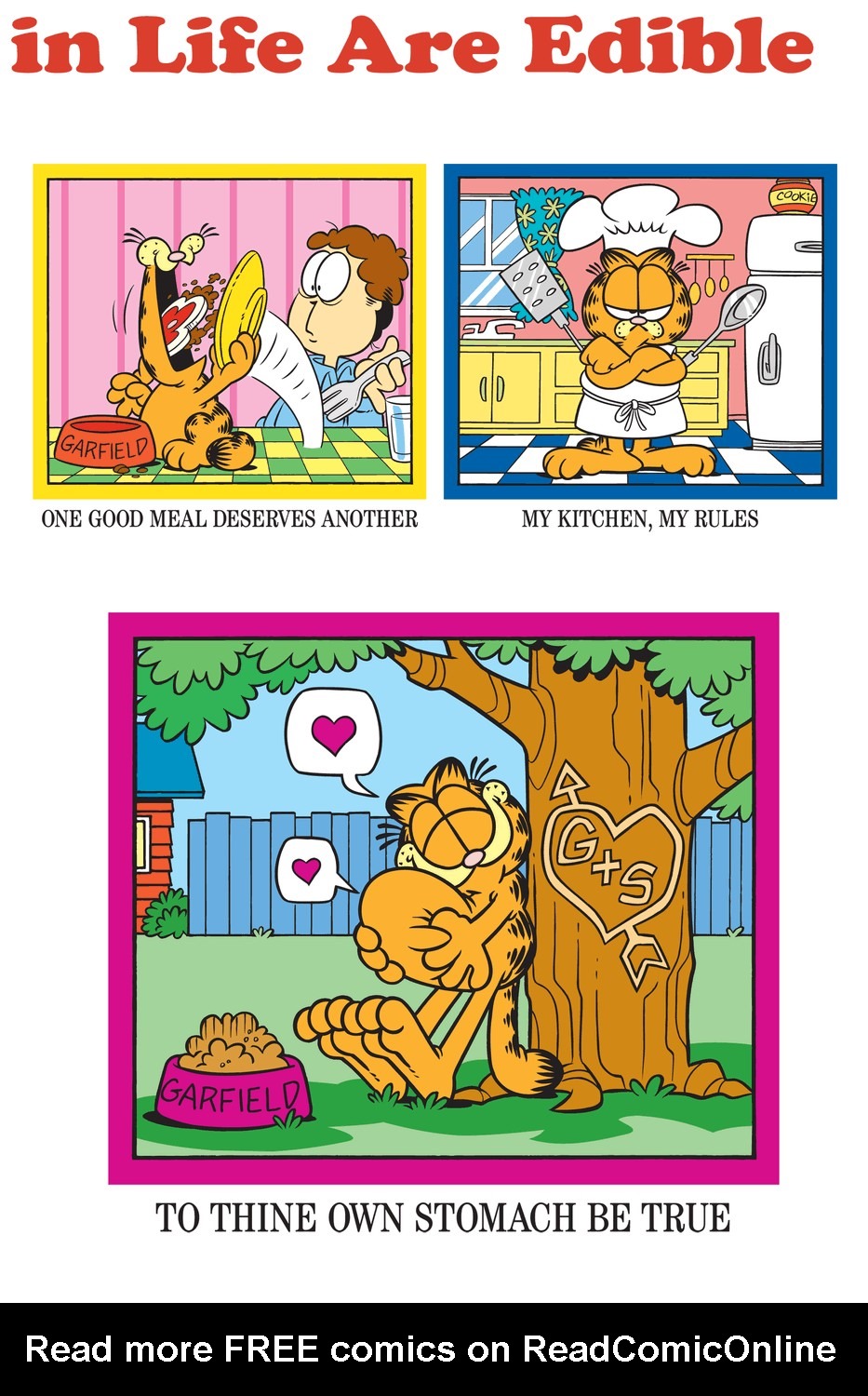 Read online Garfield comic -  Issue #17 - 27