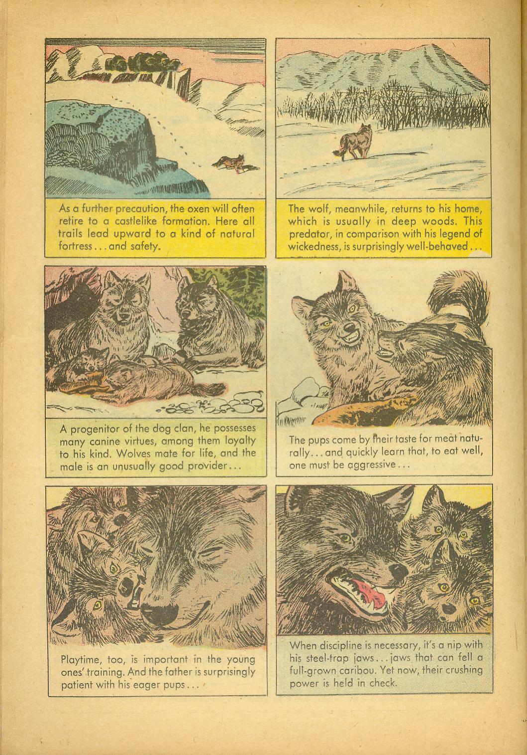 Read online Four Color Comics comic -  Issue #943 - 26