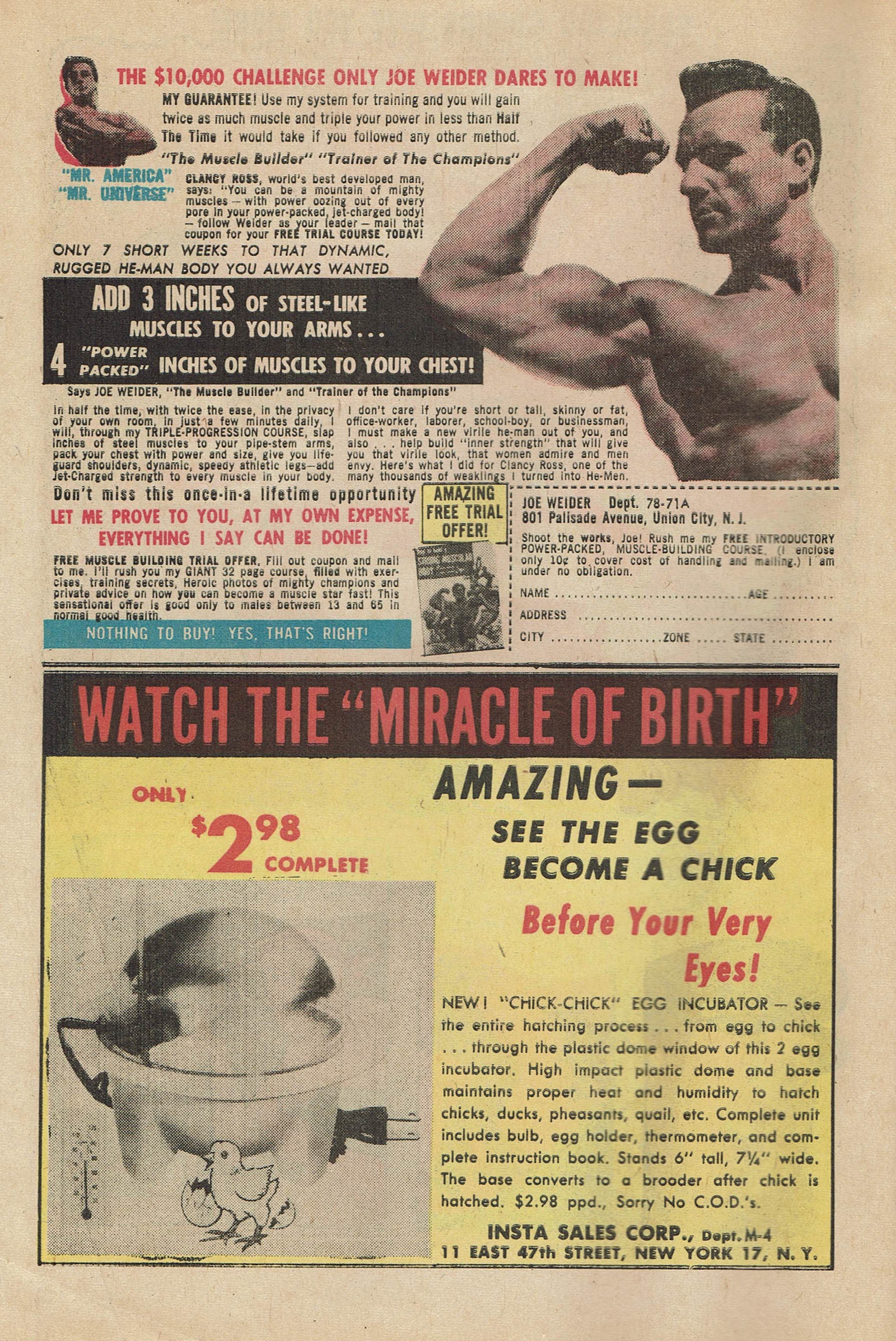 Read online Li'l Genius comic -  Issue #34 - 6