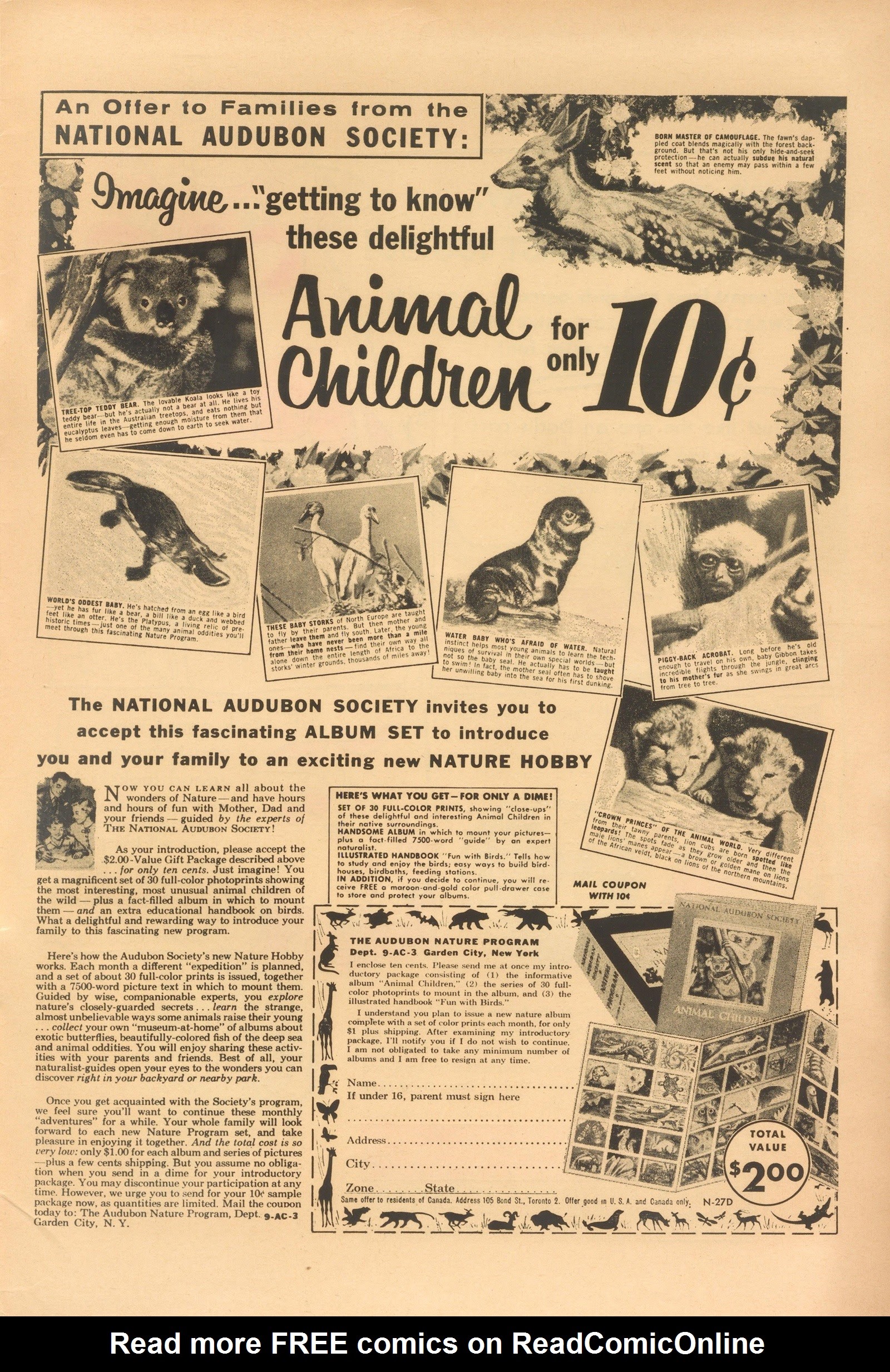 Read online Super Duck Comics comic -  Issue #84 - 35