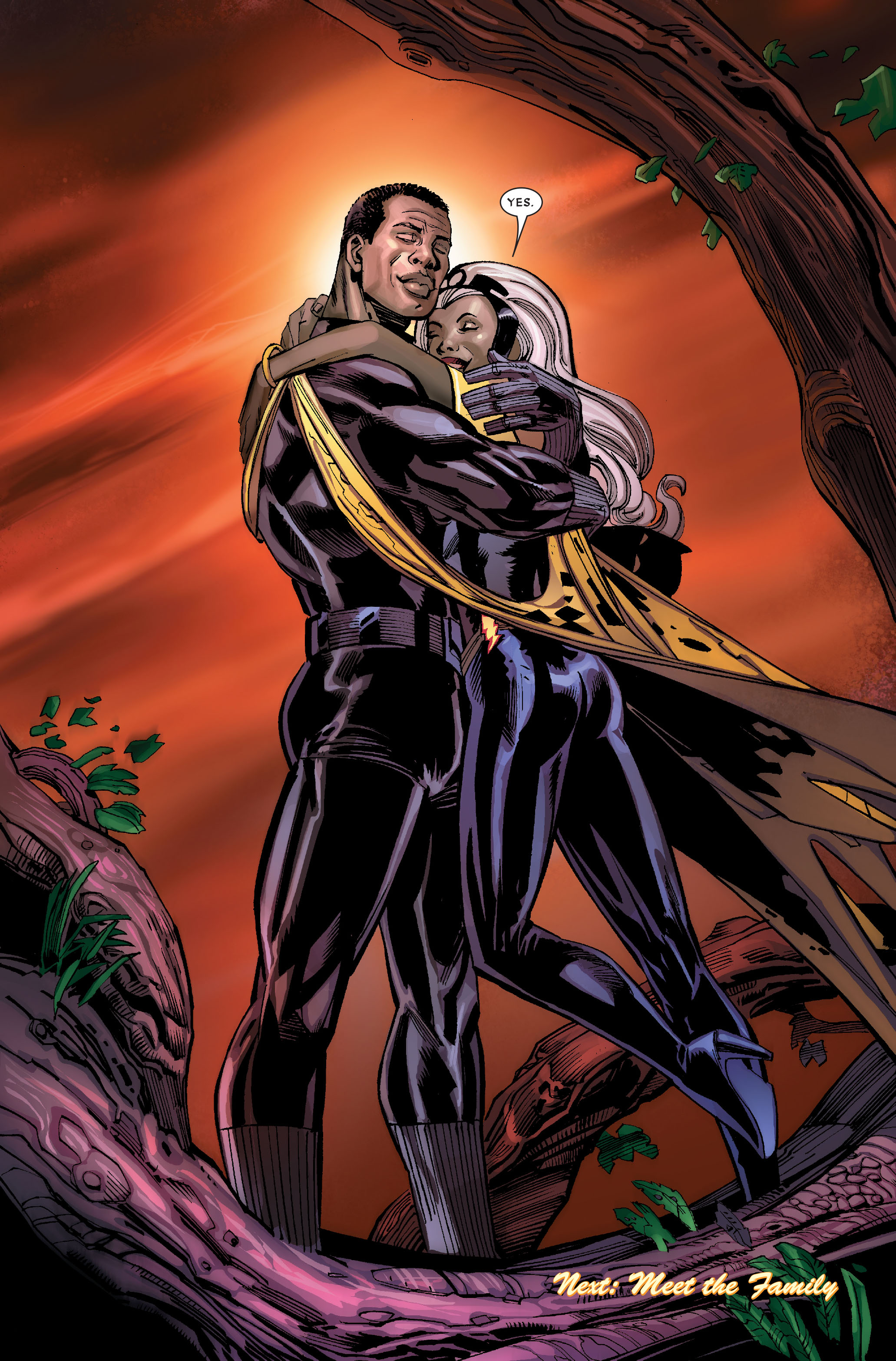 Read online Black Panther: The Bride comic -  Issue # TPB - 49