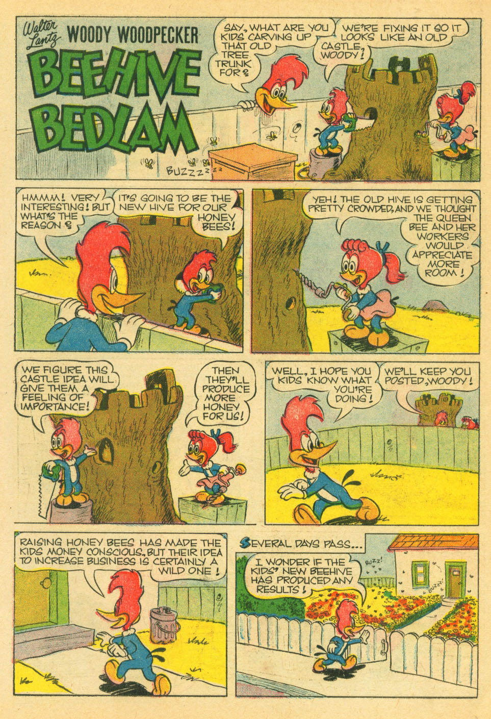 Read online Walter Lantz Woody Woodpecker (1952) comic -  Issue #59 - 26