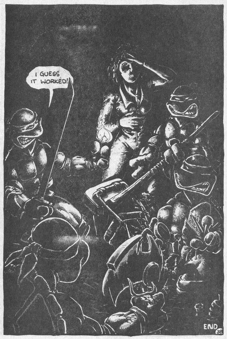 Read online Teenage Mutant Ninja Turtles (1984) comic -  Issue #2 - 39