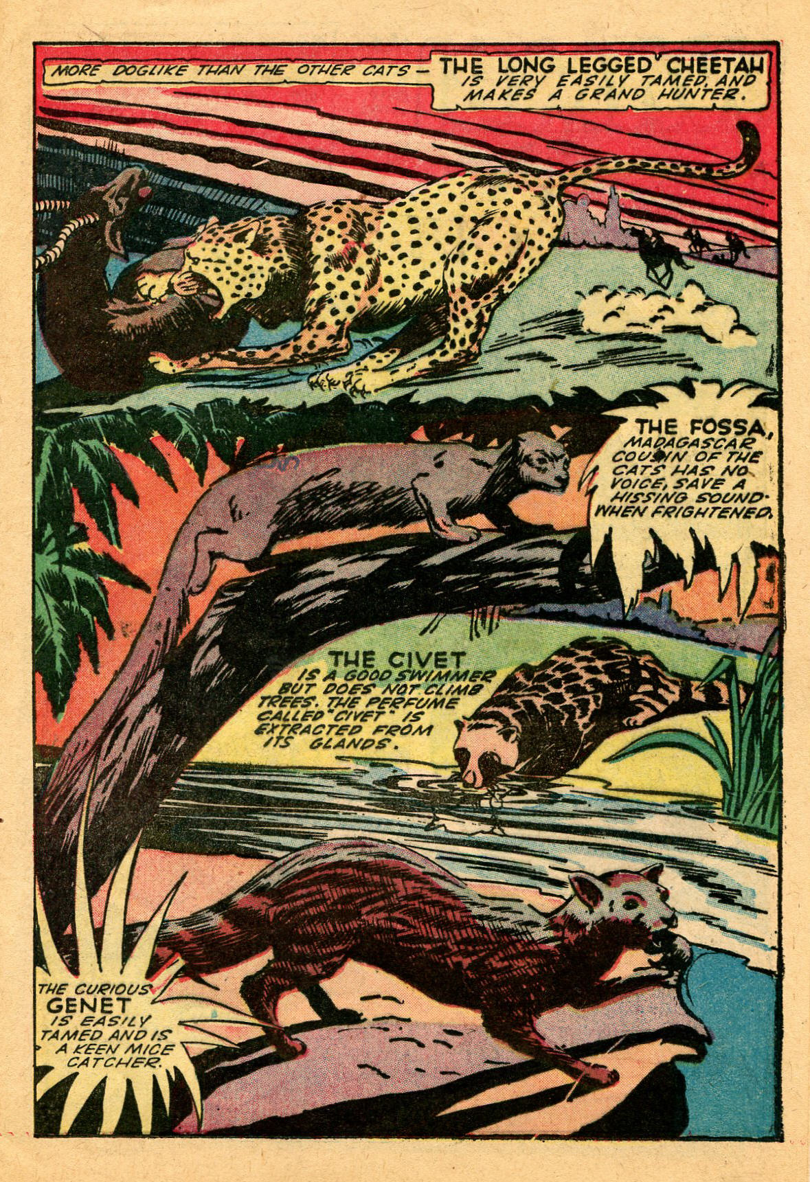 Read online Wambi Jungle Boy comic -  Issue #13 - 25