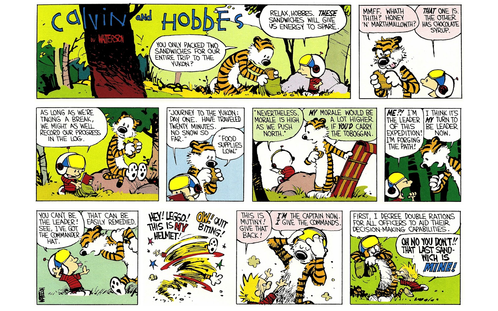 Calvin and Hobbes issue 3 - Page 73